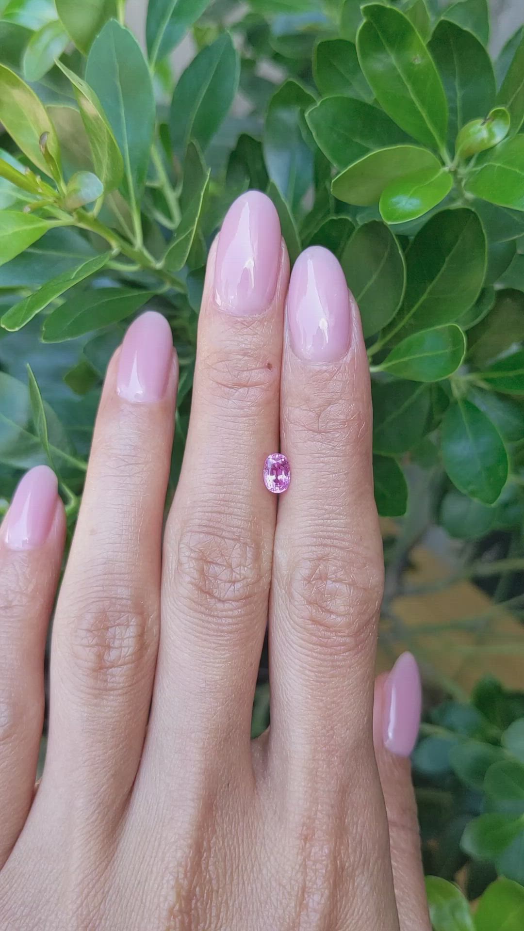 0.76 Ct. Pink Sapphire from Ceylon (Sri Lanka) Size Video