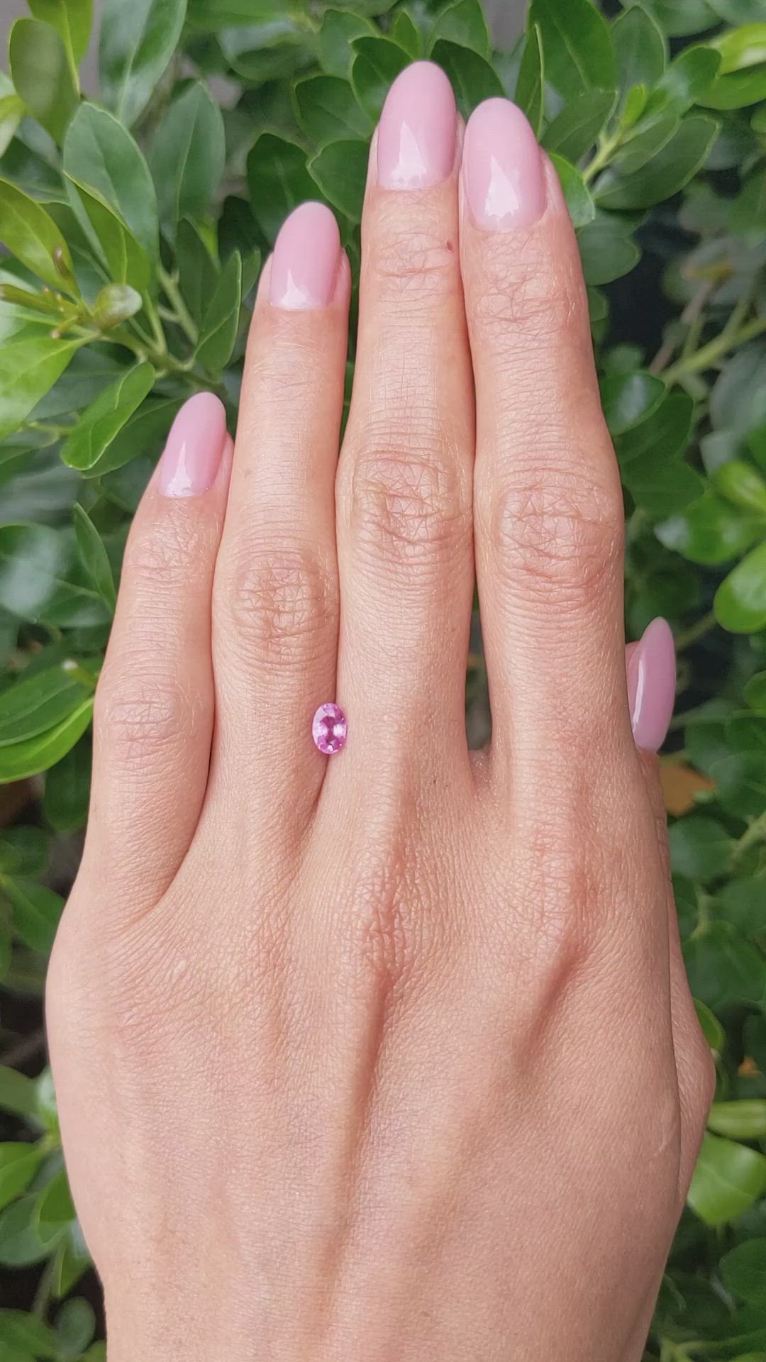 0.61 Ct. Pink Sapphire from Ceylon (Sri Lanka) Size Video