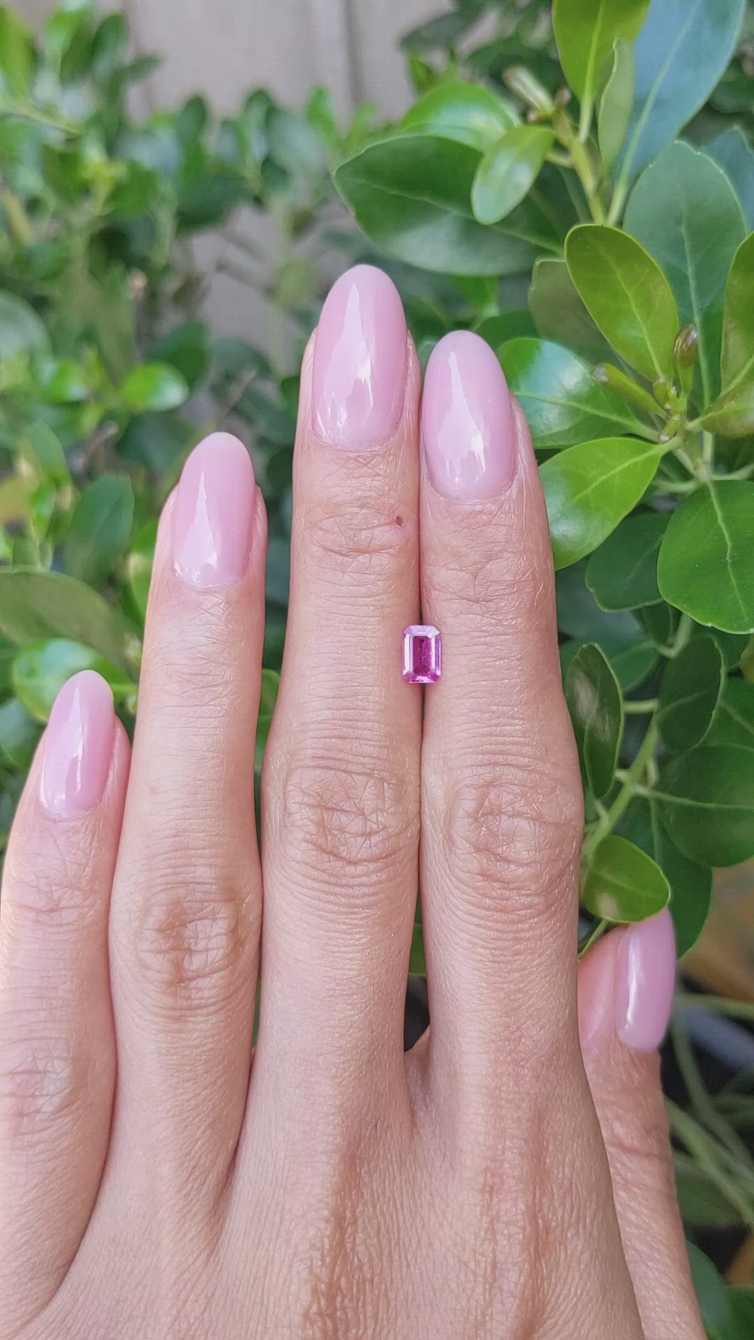 0.55 Ct. Pink Sapphire from Ceylon (Sri Lanka) Size Video