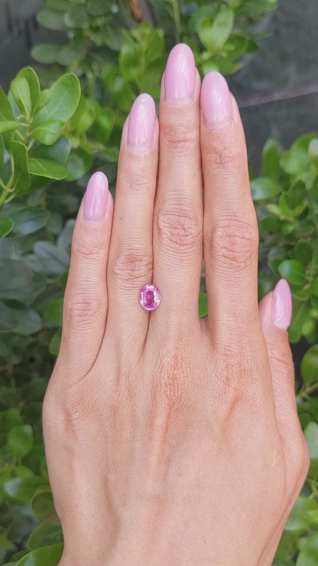 1.74 Ct. Pink Sapphire from Ceylon (Sri Lanka) Size Video