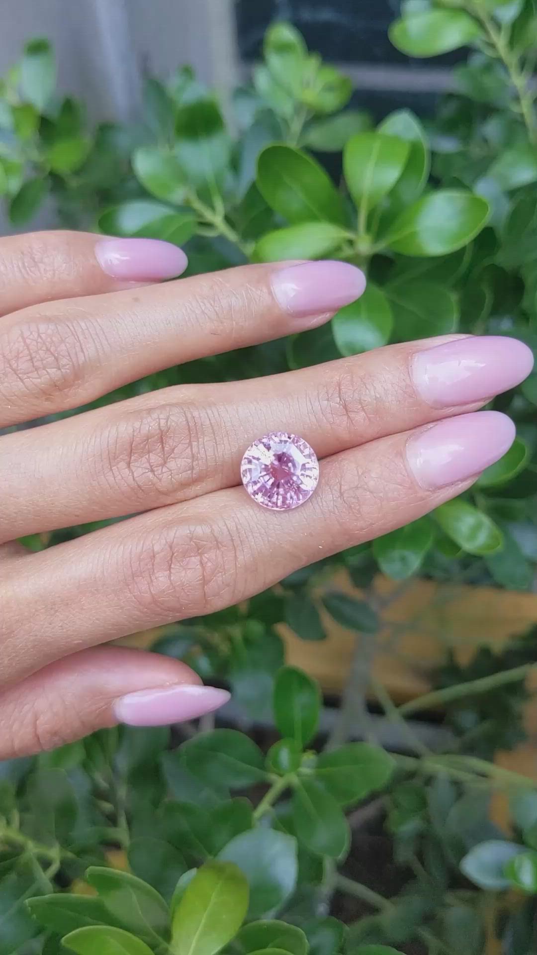 7.81 Ct. Pink Sapphire from Ceylon (Sri Lanka) Size Video