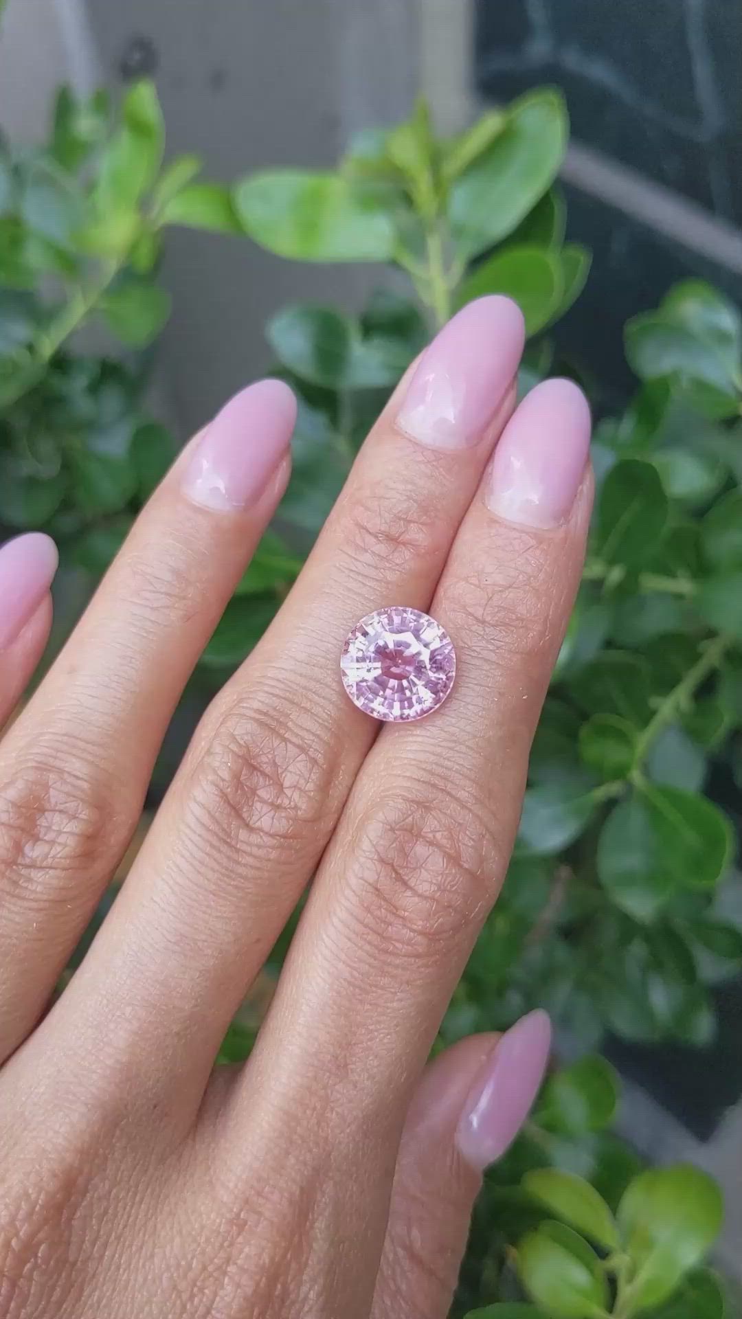 7.81 Ct. Pink Sapphire from Ceylon (Sri Lanka) Size Video