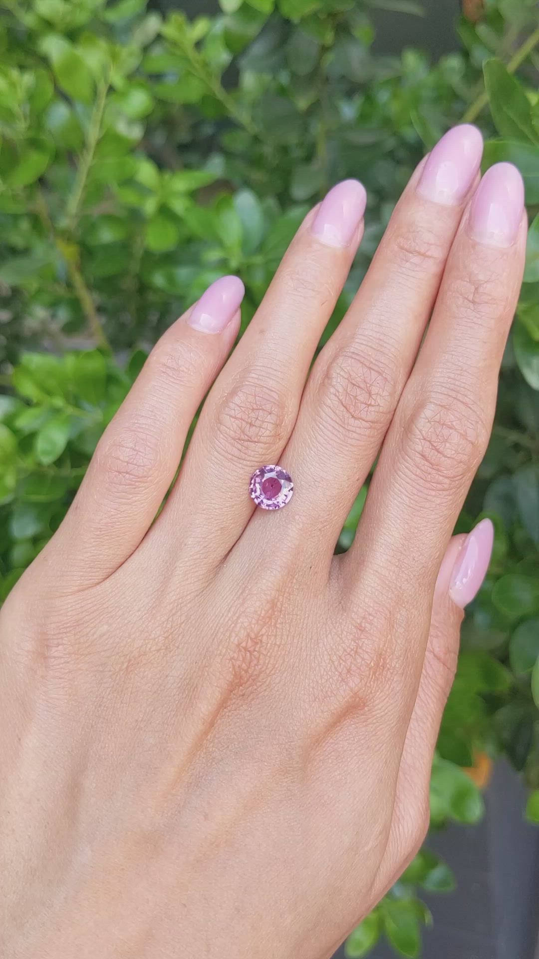 1.84 Ct. Pink Sapphire from Madagascar Size Video