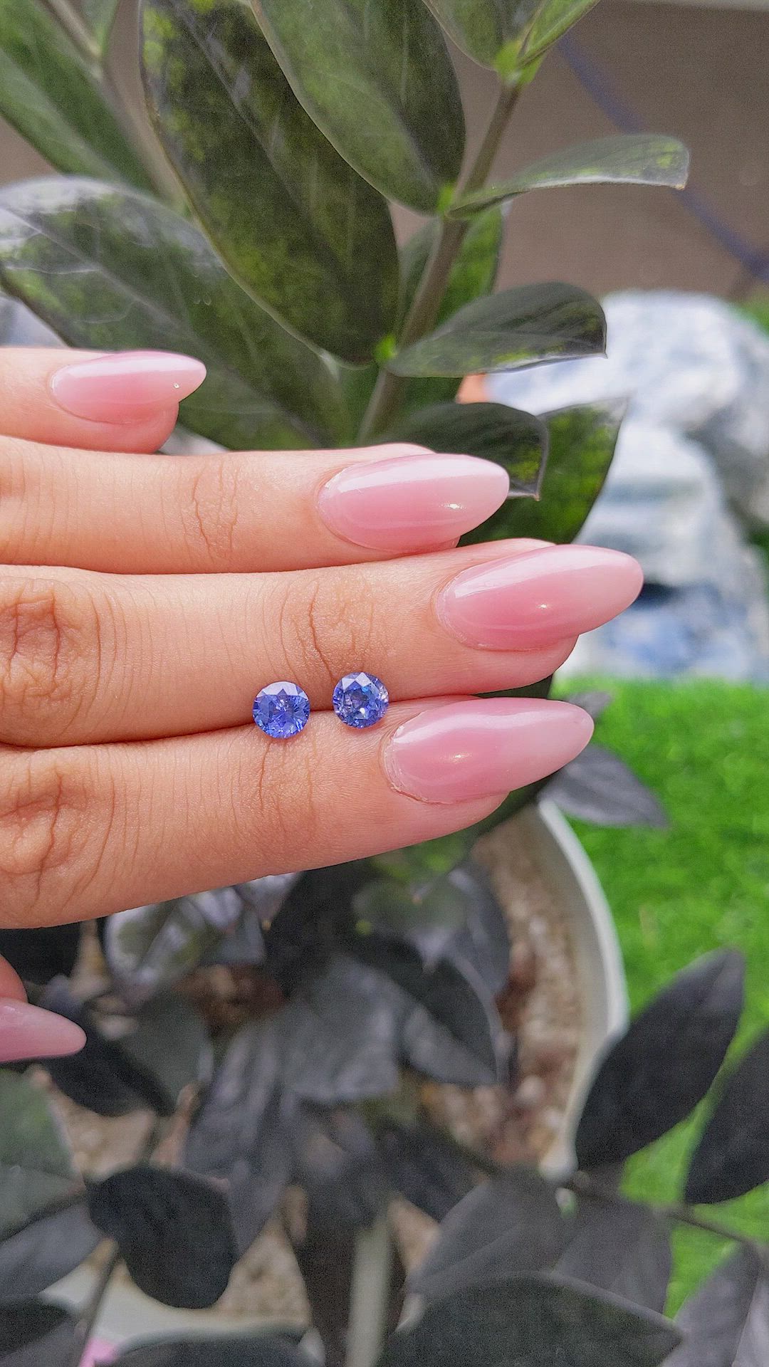 1.67 Ct.Tw.Total Carat Weight Blue Sapphire Pair from Ceylon (Sri Lanka) Size Video