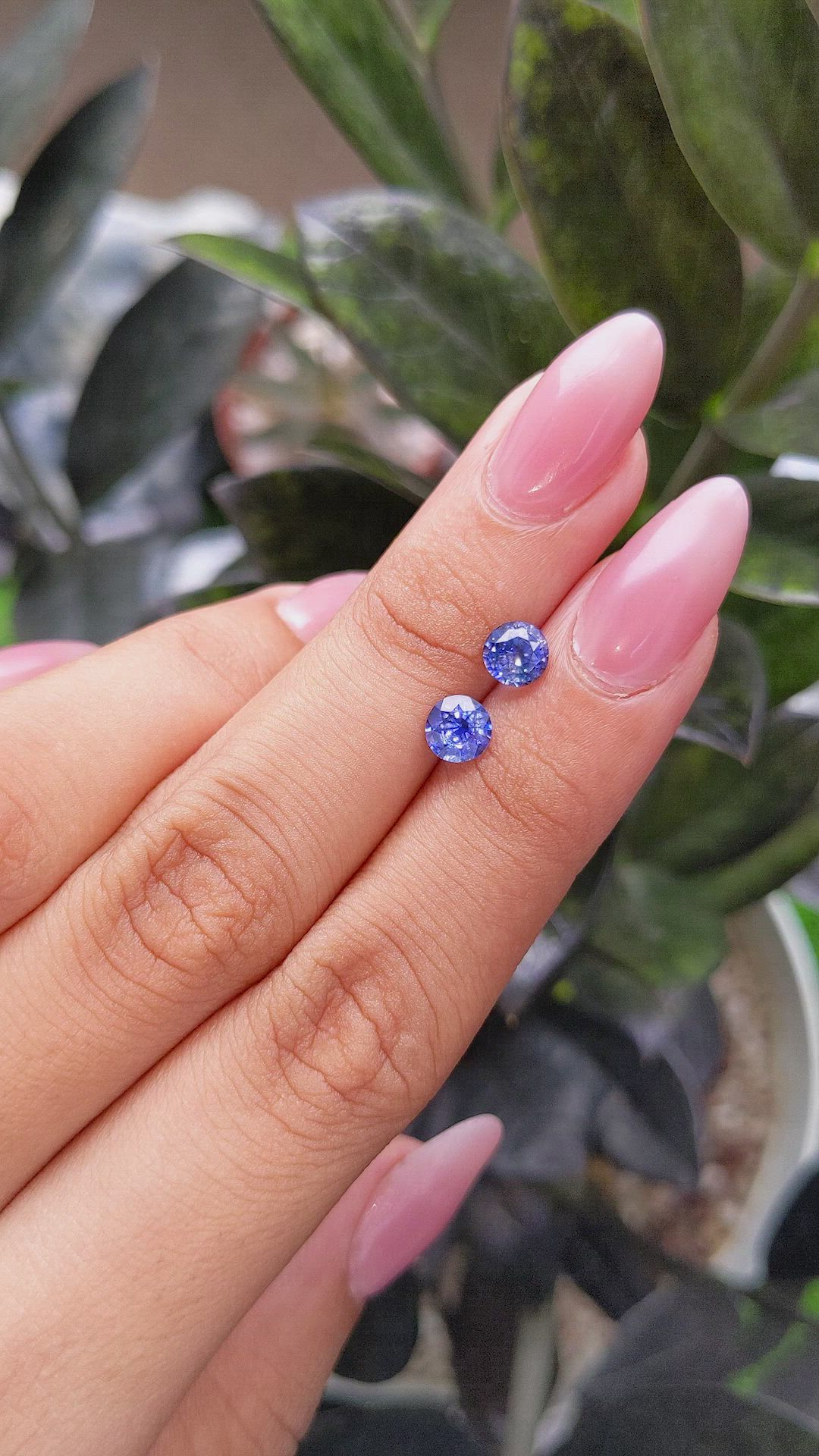 1.67 Ct.Tw.Total Carat Weight Blue Sapphire Pair from Ceylon (Sri Lanka) Size Video