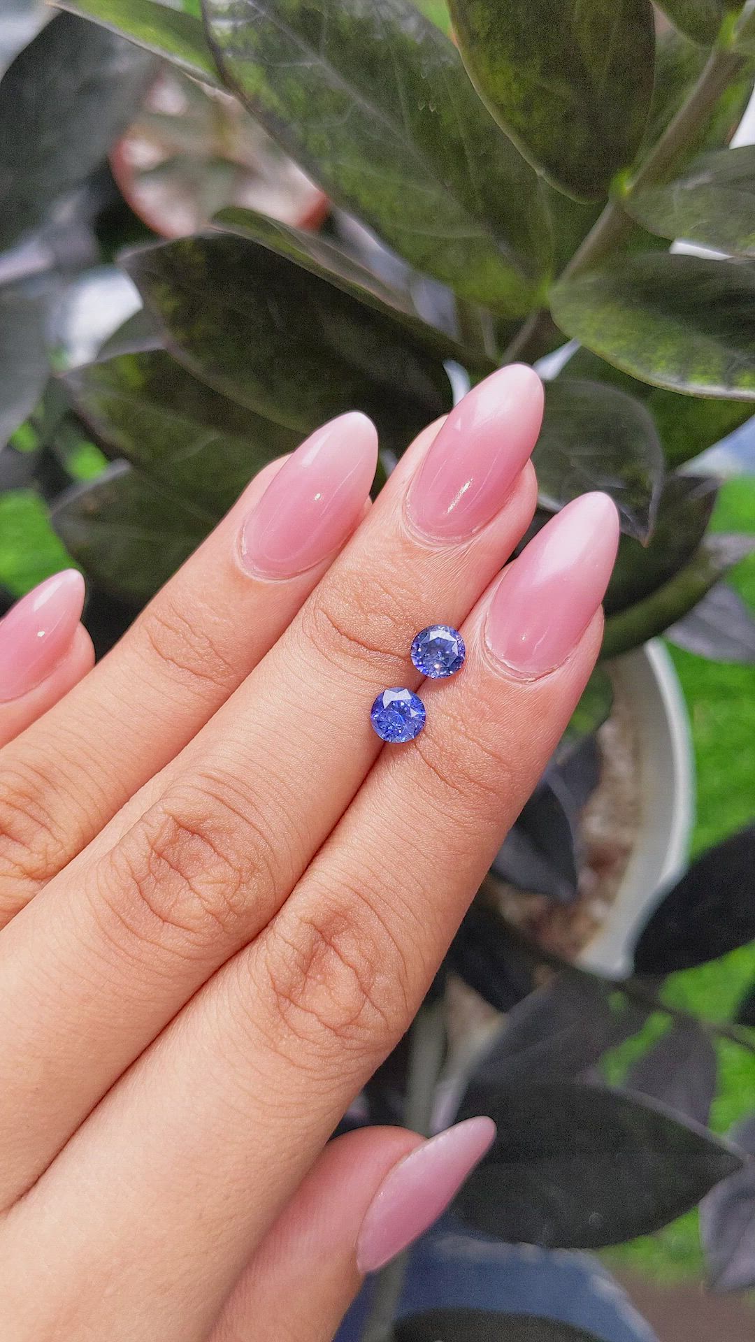 1.67 Ct.Tw.Total Carat Weight Blue Sapphire Pair from Ceylon (Sri Lanka) Size Video