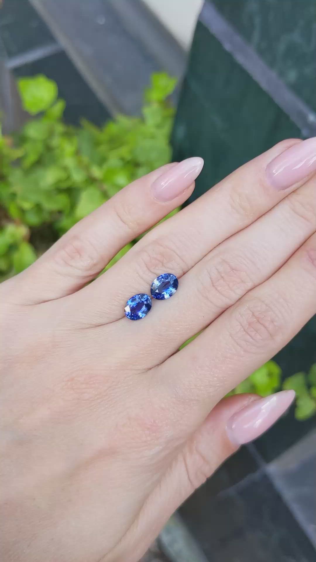 2.86&nbsp;Ct.Tw.Total Carat Weight Blue Sapphire Pair from Ceylon (Sri Lanka) Size Video