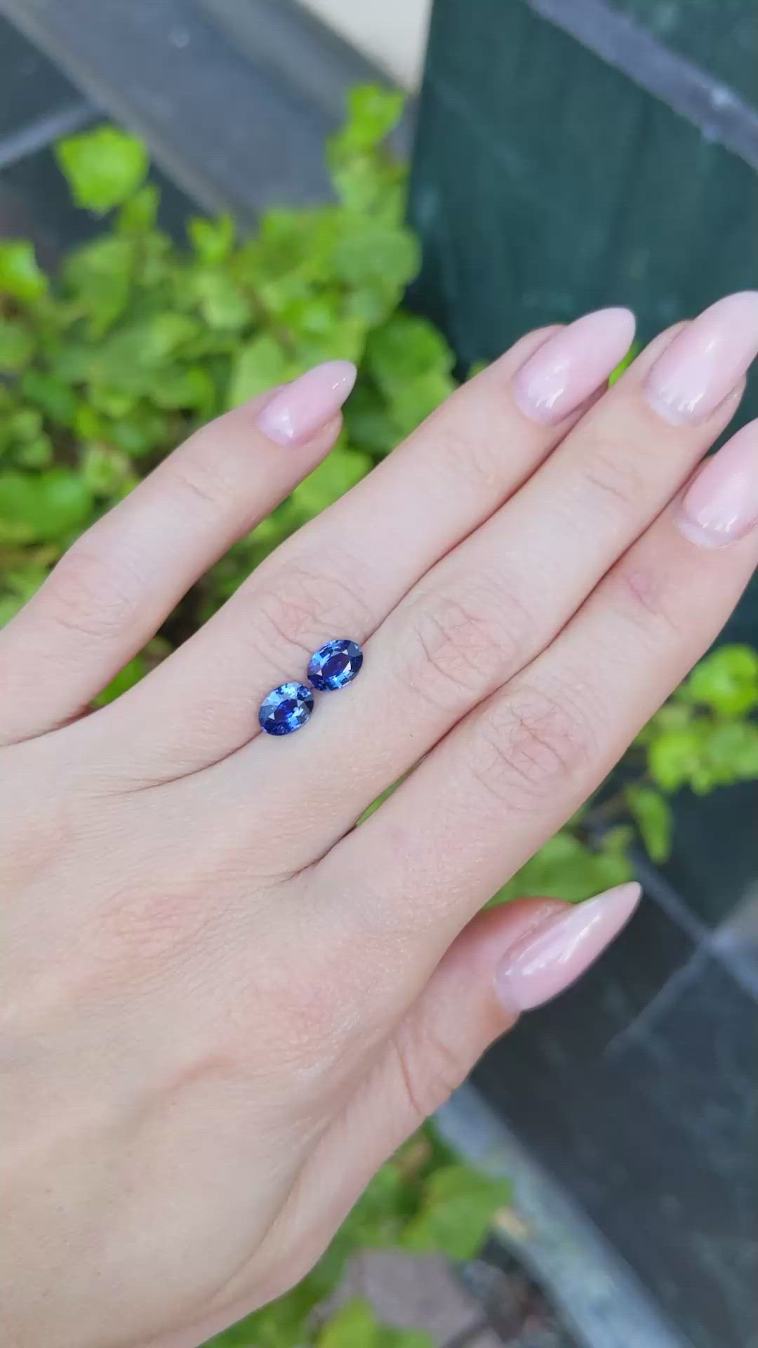 1.75&nbsp;Ct.Tw.Total Carat Weight Blue Sapphire Pair from Ceylon (Sri Lanka) Size Video