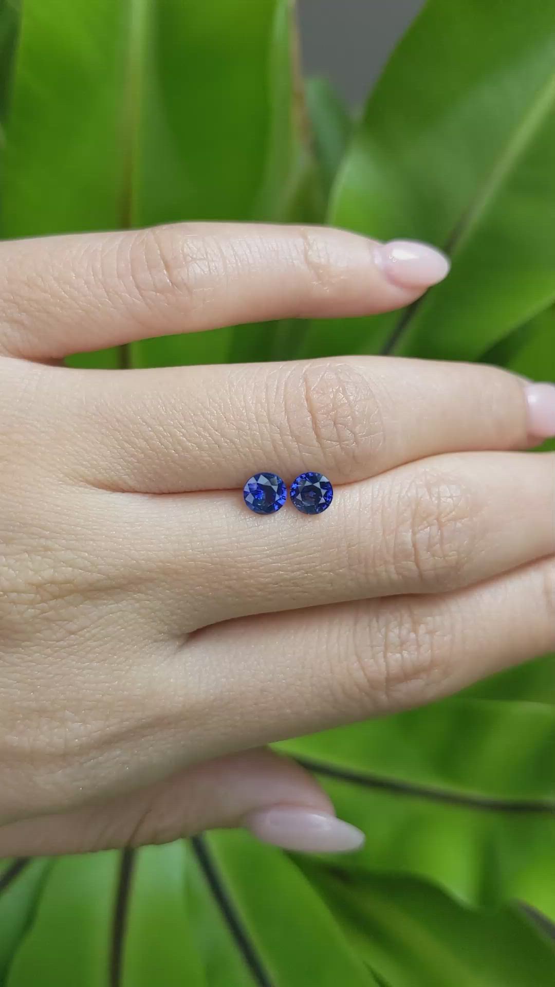 1.24&nbsp;Ct.Tw.Total Carat Weight Blue Sapphire Pair from Ceylon (Sri Lanka) Size Video