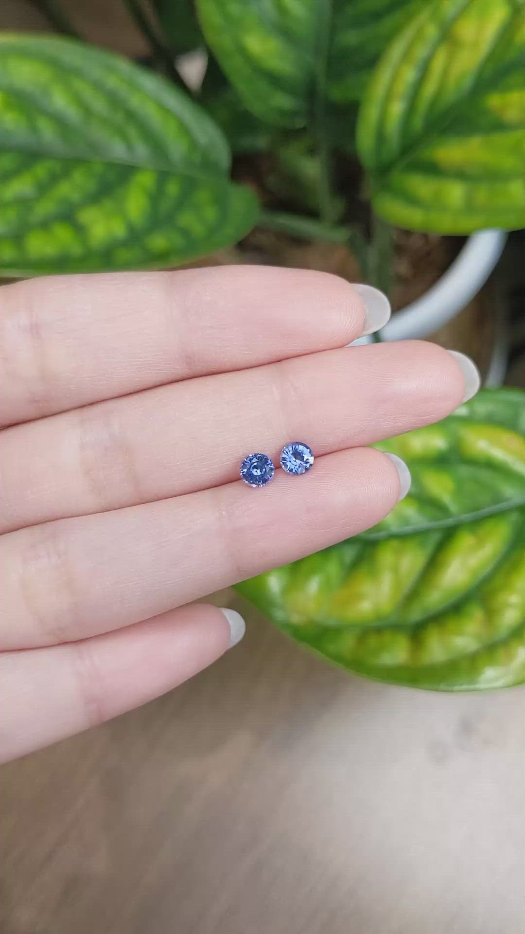 0.88&nbsp;Ct.Tw.Total Carat Weight Blue Sapphire Pair from Ceylon (Sri Lanka) Size Video
