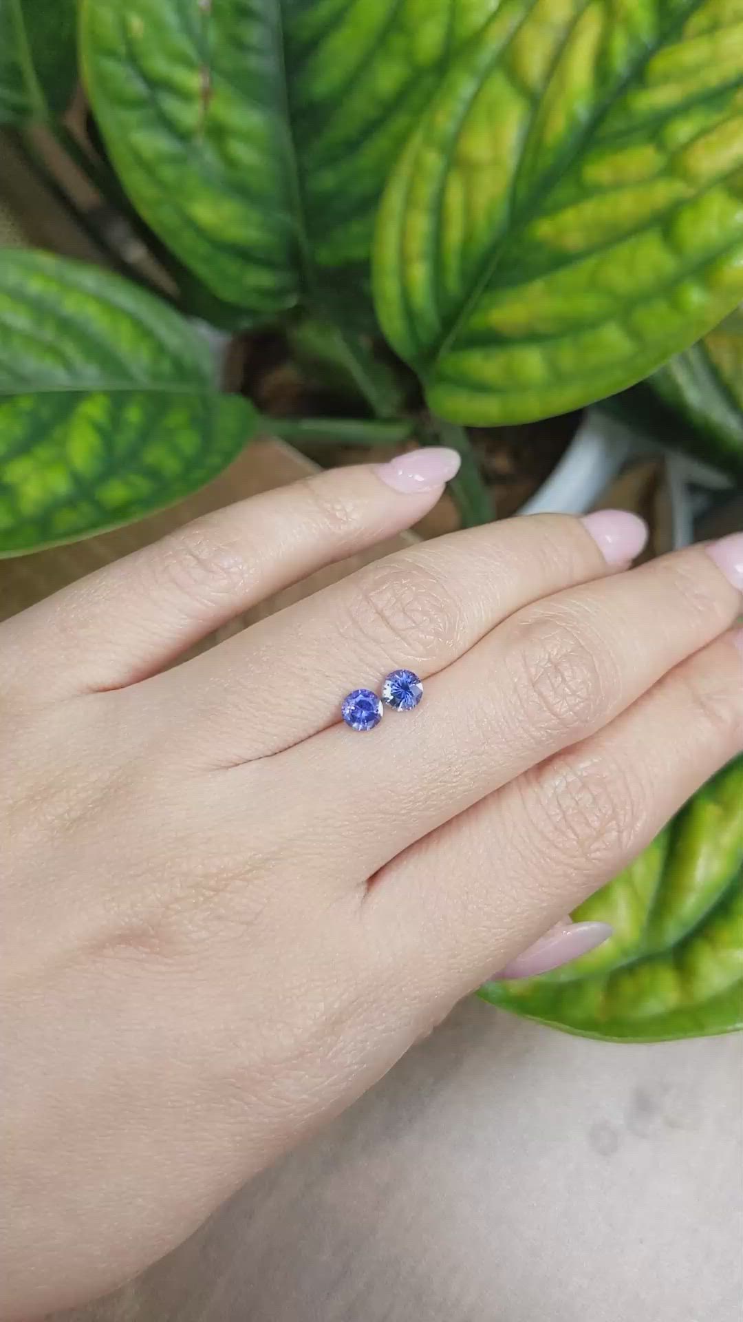 1.02&nbsp;Ct.Tw.Total Carat Weight Blue Sapphire Pair from Ceylon (Sri Lanka) Size Video