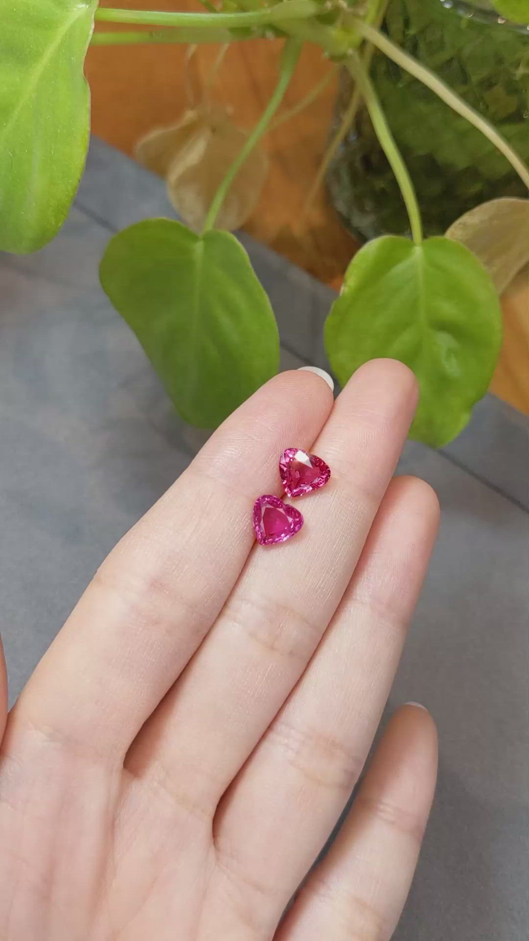 4.01&nbsp;Ct.Tw.Total Carat Weight Pink Sapphire Pair from Mozambique Size Video