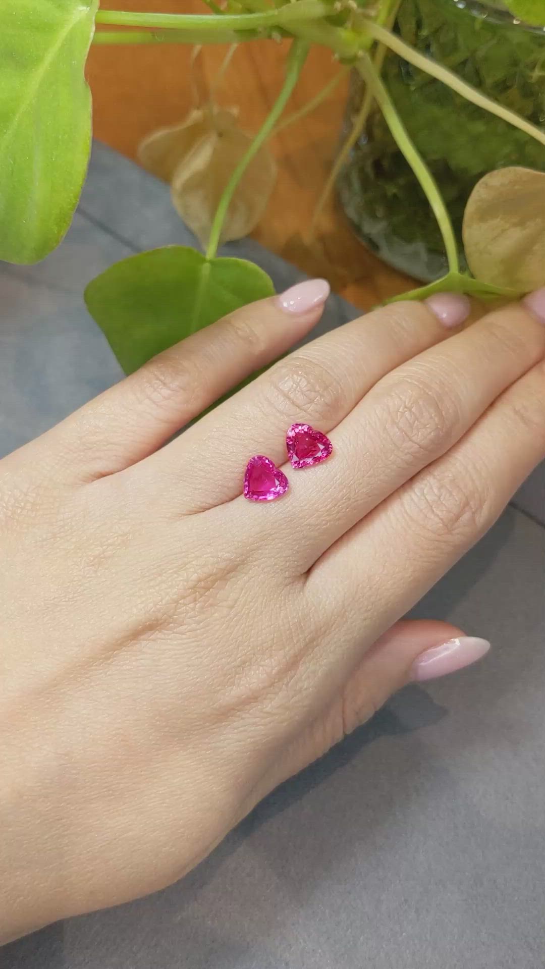 4.01&nbsp;Ct.Tw.Total Carat Weight Pink Sapphire Pair from Mozambique Size Video