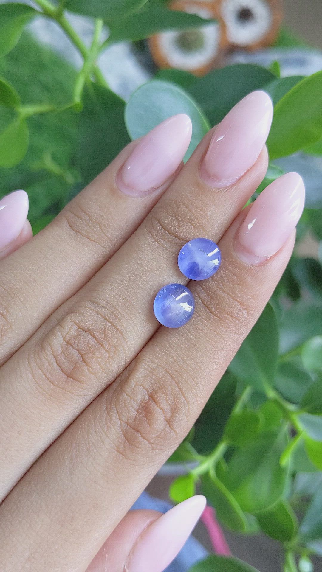 6.77&nbsp;Ct.Tw.Total Carat Weight Blue Star Sapphire Pair from Ceylon (Sri Lanka) Size Video