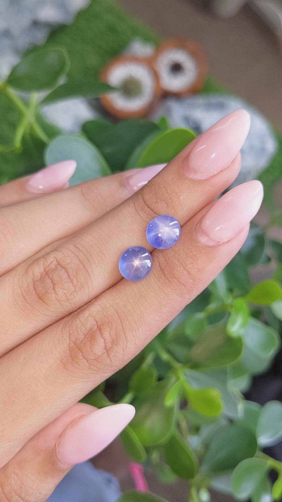 6.77&nbsp;Ct.Tw.Total Carat Weight Blue Star Sapphire Pair from Ceylon (Sri Lanka) Size Video