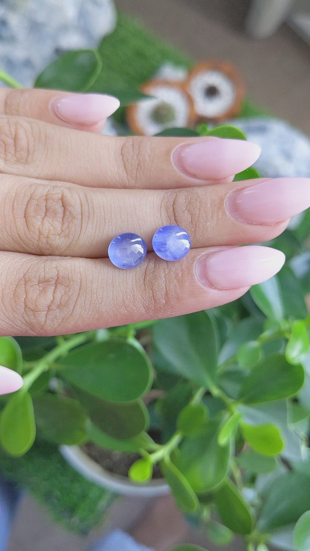 6.77&nbsp;Ct.Tw.Total Carat Weight Blue Star Sapphire Pair from Ceylon (Sri Lanka) Size Video