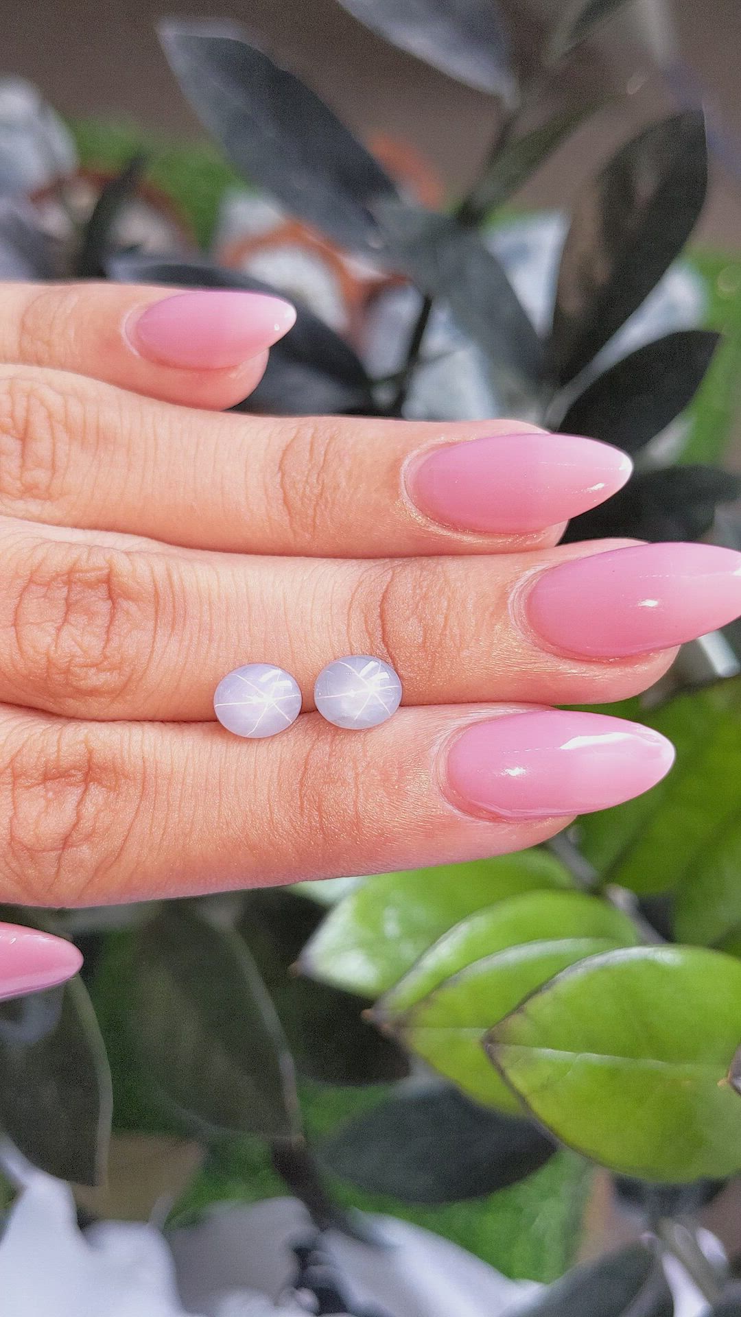 4.31 Ct.Tw.Total Carat Weight Grey Star Sapphire Pair from Ceylon (Sri Lanka) Size Video