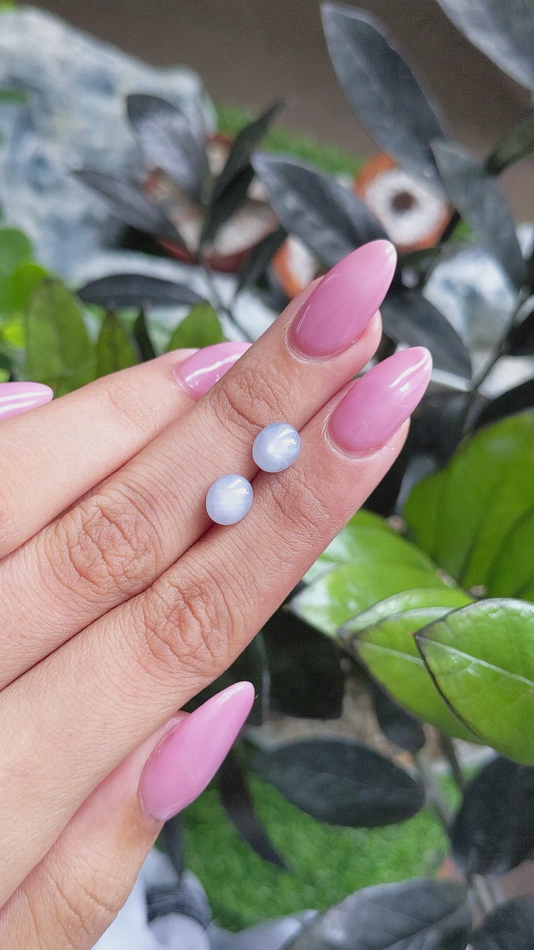 4.31 Ct.Tw.Total Carat Weight Grey Star Sapphire Pair from Ceylon (Sri Lanka) Size Video