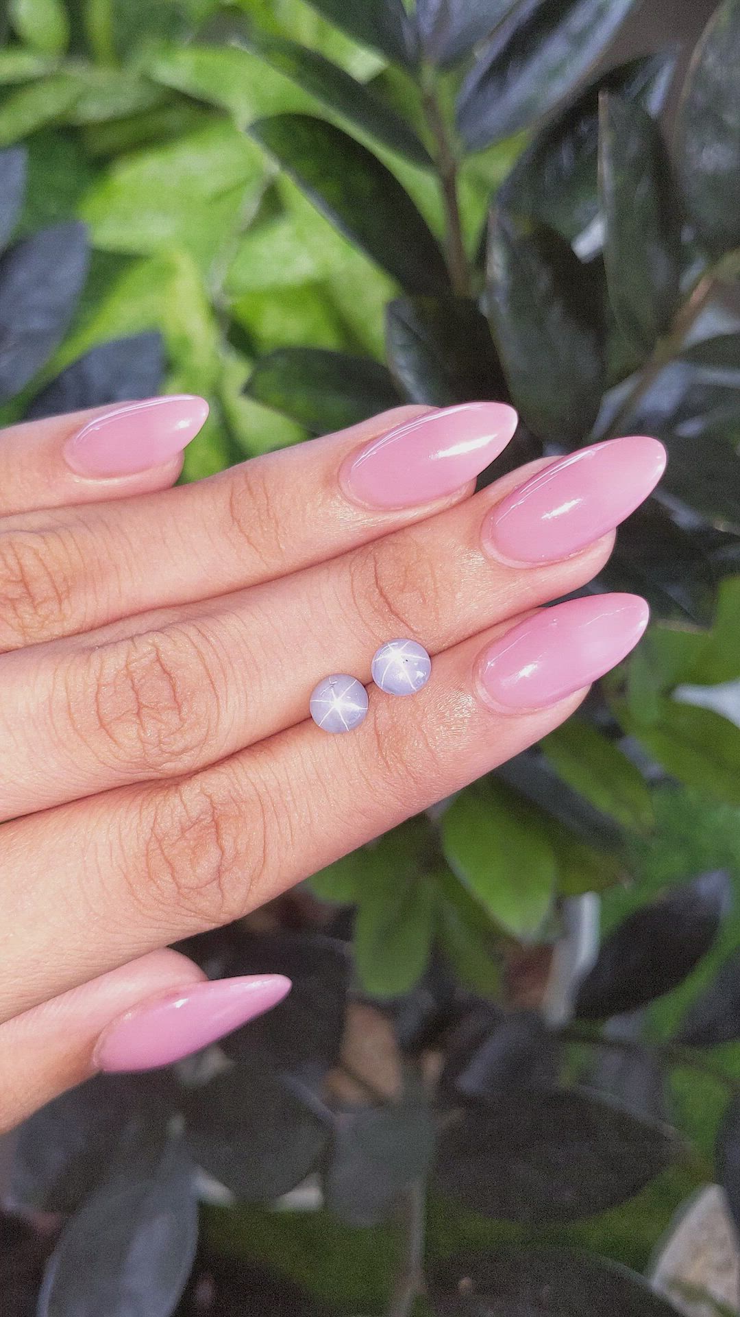 3.94&nbsp;Ct.Tw.Total Carat Weight Blue Star Sapphire Pair from Ceylon (Sri Lanka) Size Video