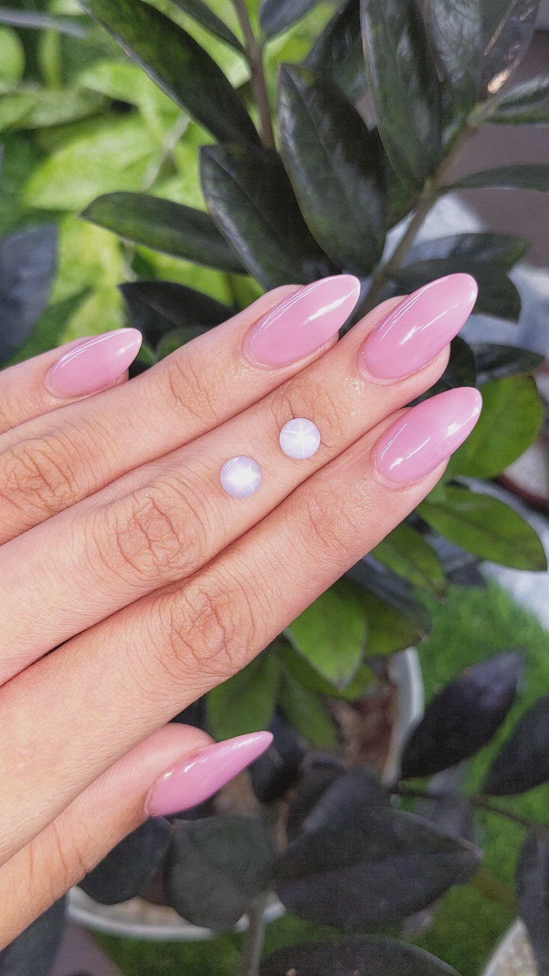 3.44 Ct.Tw.Total Carat Weight Grey Star Sapphire Pair from Ceylon (Sri Lanka) Size Video