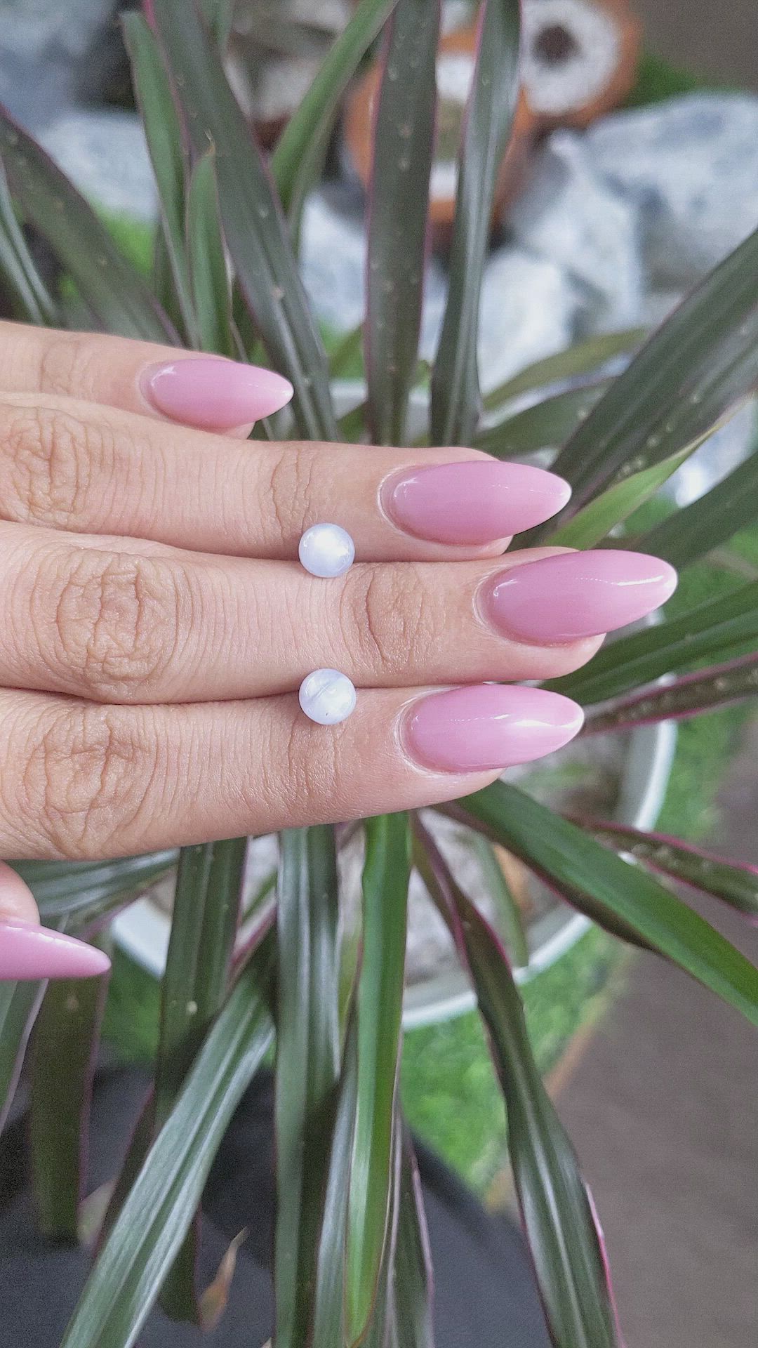 3.44 Ct.Tw.Total Carat Weight Grey Star Sapphire Pair from Ceylon (Sri Lanka) Size Video