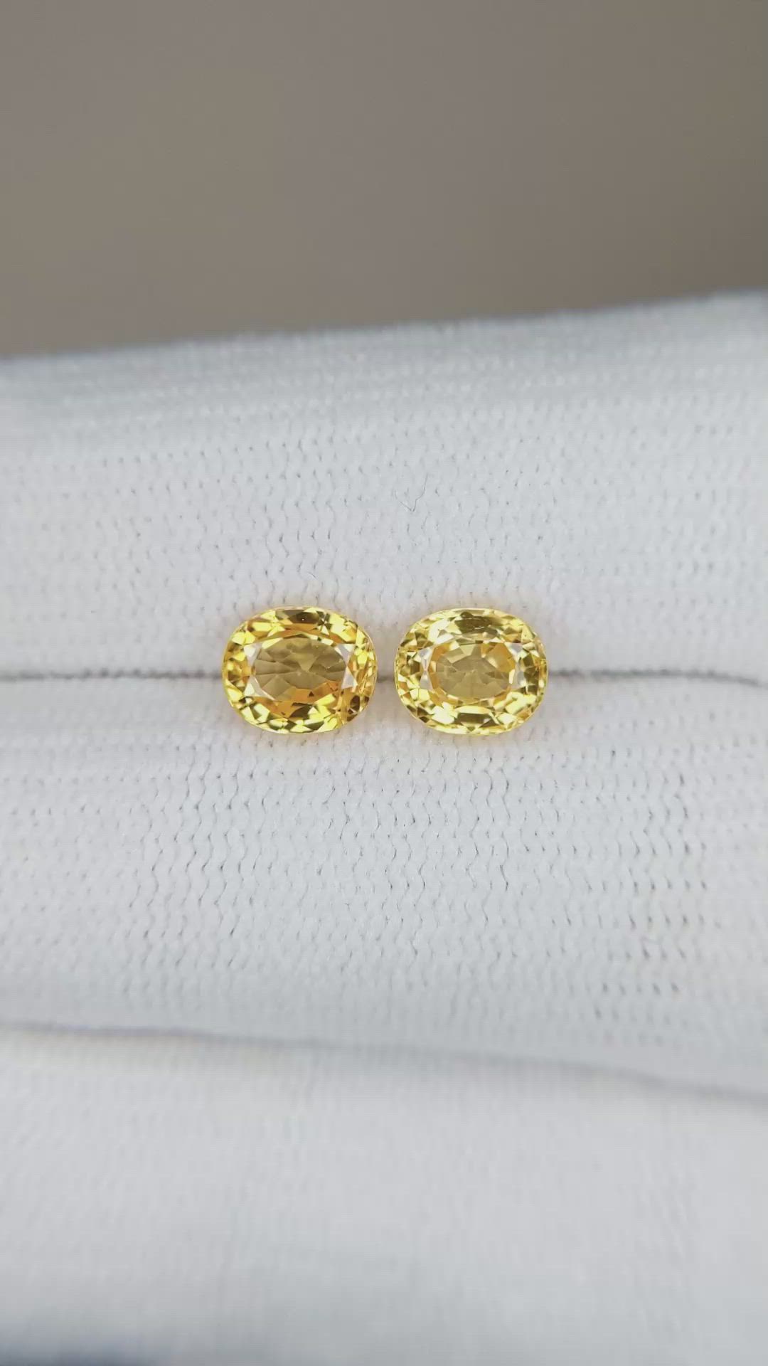 1.83&nbsp;Ct.Tw.Total Carat Weight Yellow Sapphire Pair from Ceylon (Sri Lanka) Size Video