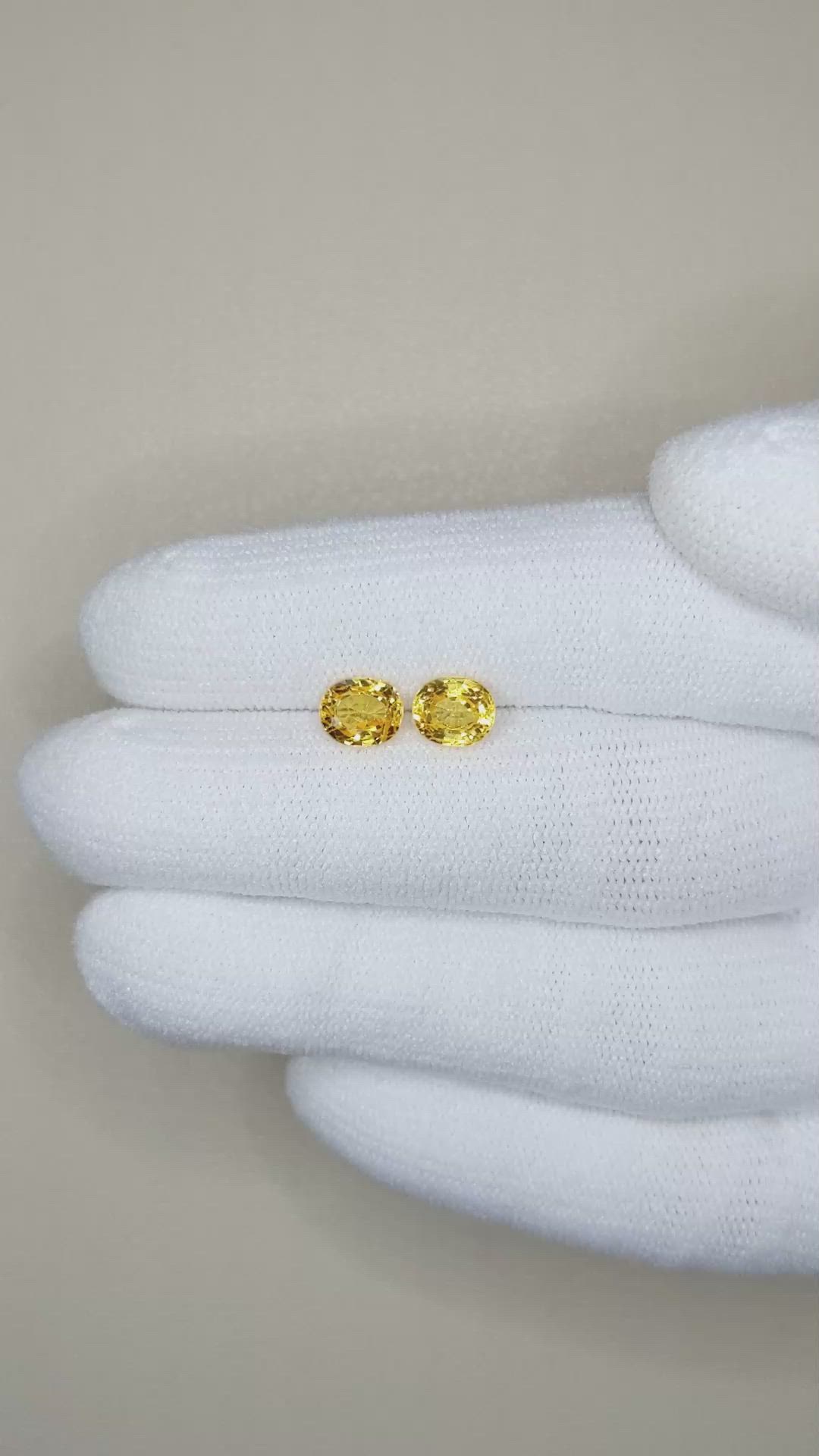 1.83&nbsp;Ct.Tw.Total Carat Weight Yellow Sapphire Pair from Ceylon (Sri Lanka) Size Video