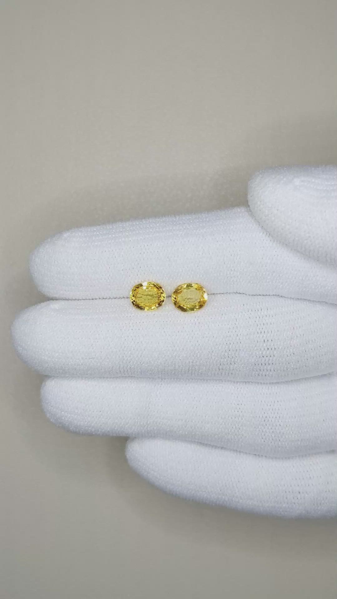 1.78&nbsp;Ct.Tw.Total Carat Weight Yellow Sapphire Pair from Ceylon (Sri Lanka) Size Video