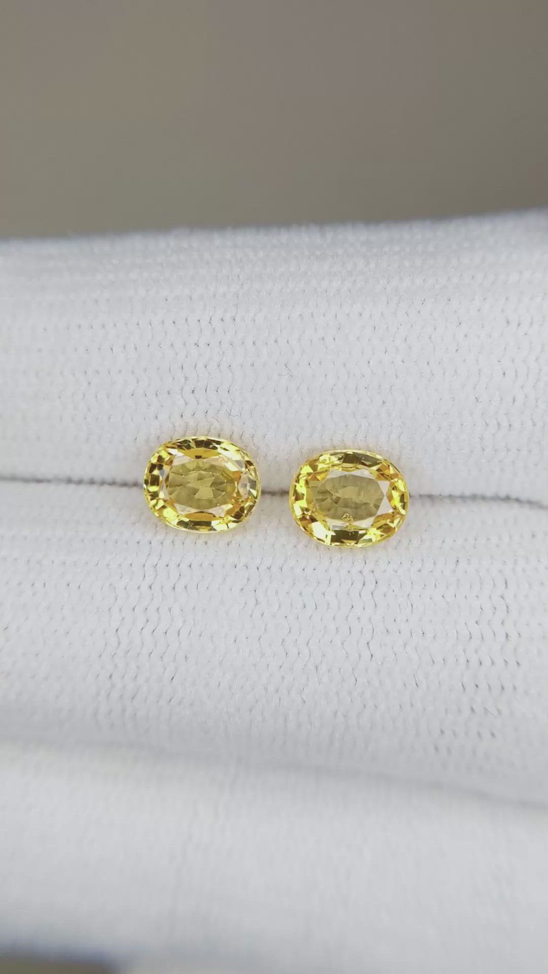 1.78&nbsp;Ct.Tw.Total Carat Weight Yellow Sapphire Pair from Ceylon (Sri Lanka) Size Video