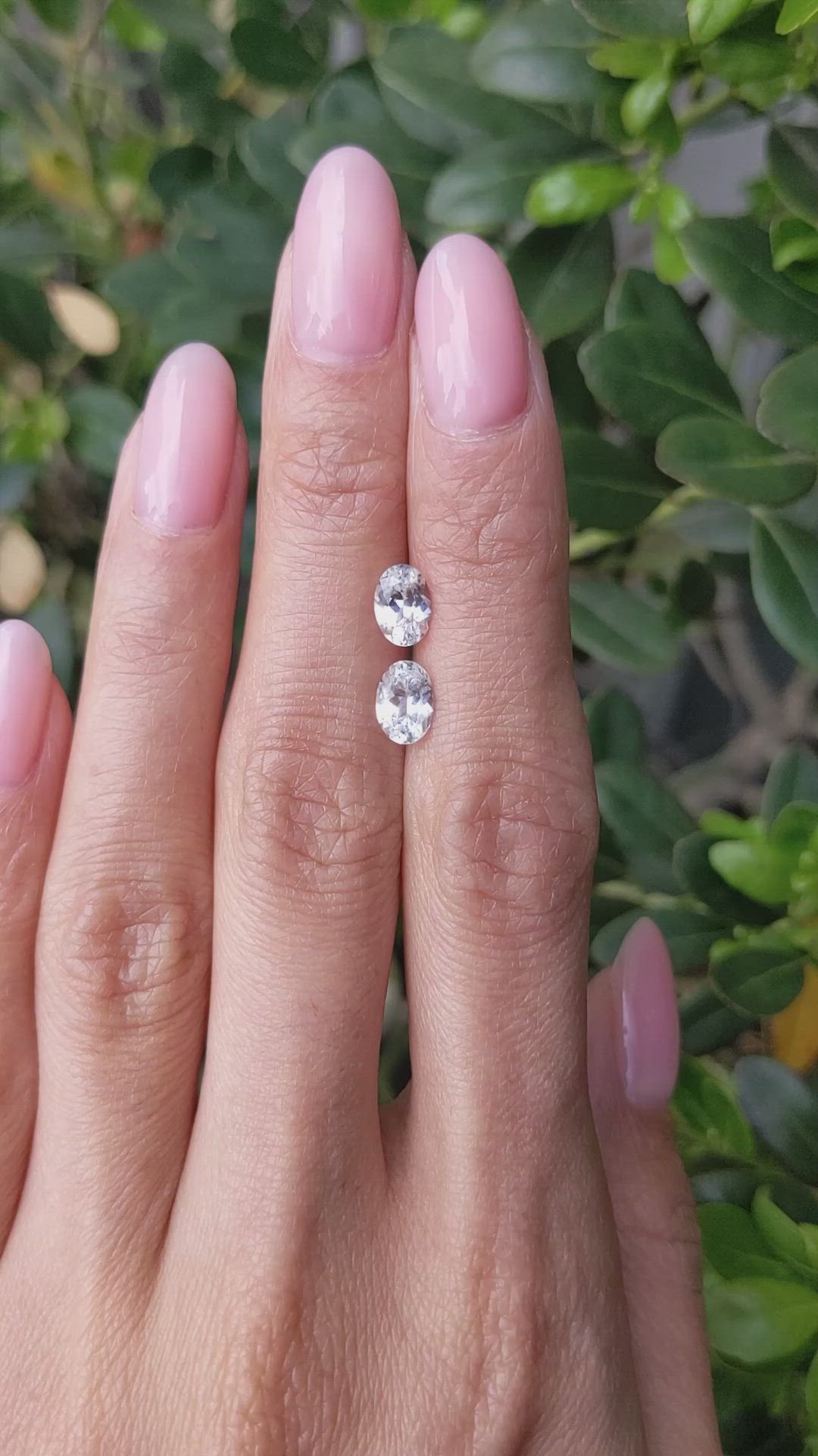 1.91&nbsp;Ct.Tw.Total Carat Weight White Sapphire Pair from Ceylon (Sri Lanka) Size Video
