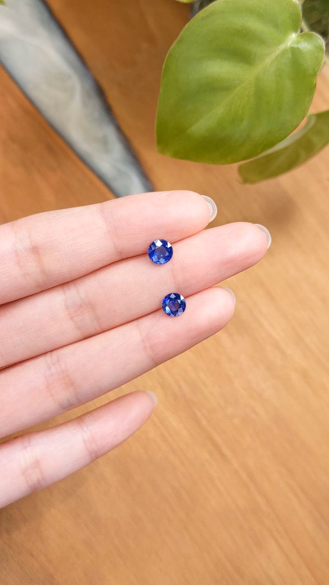 1.69&nbsp;Ct.Tw.Total Carat Weight Blue Sapphire Pair from Ceylon (Sri Lanka) Size Video