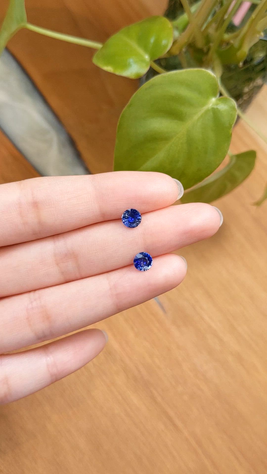 1.55&nbsp;Ct.Tw.Total Carat Weight Blue Sapphire Pair from Ceylon (Sri Lanka) Size Video
