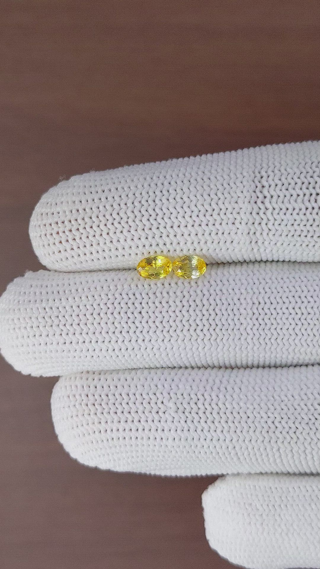 0.77 Ct.Tw.Total Carat Weight Yellow Sapphire Pair from Ceylon (Sri Lanka) Size Video