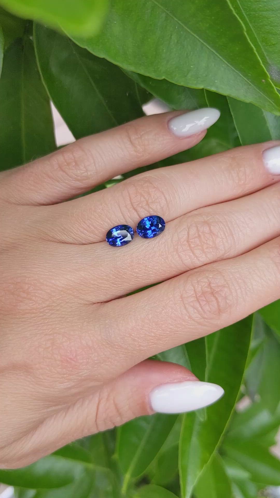 2.65&nbsp;Ct.Tw.Total Carat Weight Blue Sapphire Pair from Ceylon (Sri Lanka) Size Video