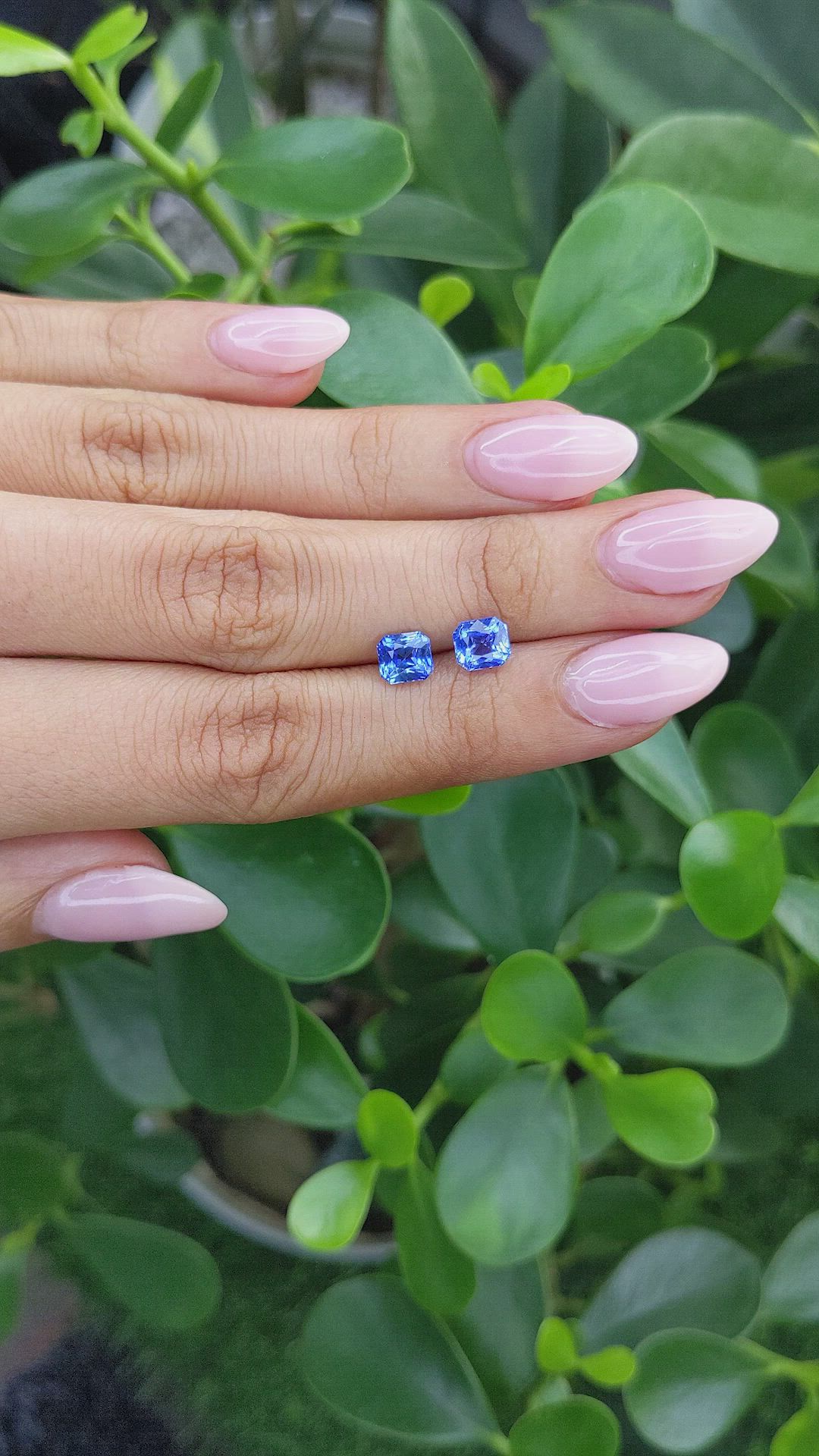 2.35 Ct.Tw.Total Carat Weight Blue Sapphire Pair from Ceylon (Sri Lanka) Size Video