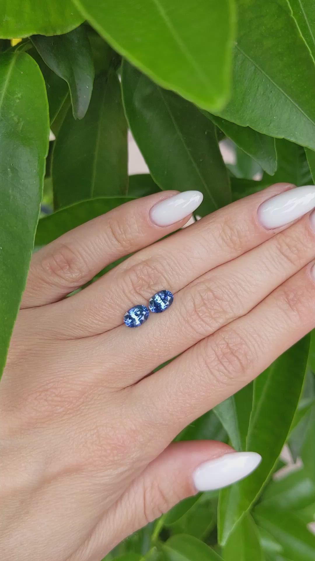 2.24&nbsp;Ct.Tw.Total Carat Weight Blue Sapphire Pair from Ceylon (Sri Lanka) Size Video