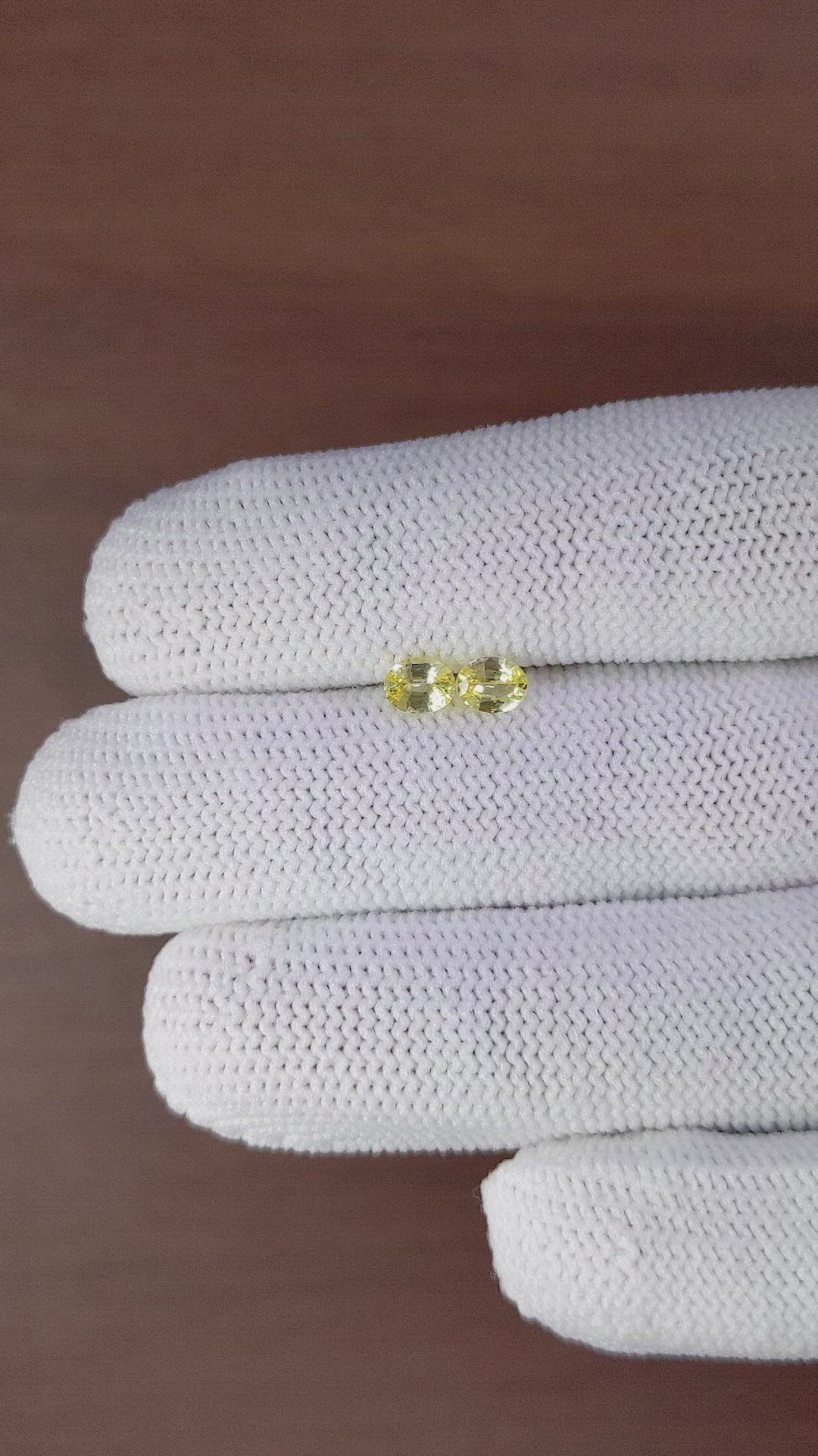 0.73 Ct.Tw.Total Carat Weight Yellow Sapphire Pair from Ceylon (Sri Lanka) Size Video