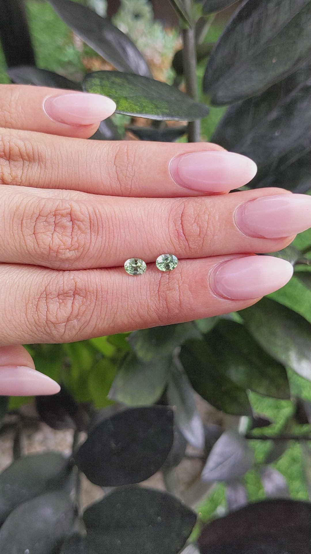 0.97 Ct.Tw.Total Carat Weight Green Sapphire Pair from Ceylon (Sri Lanka) Size Video