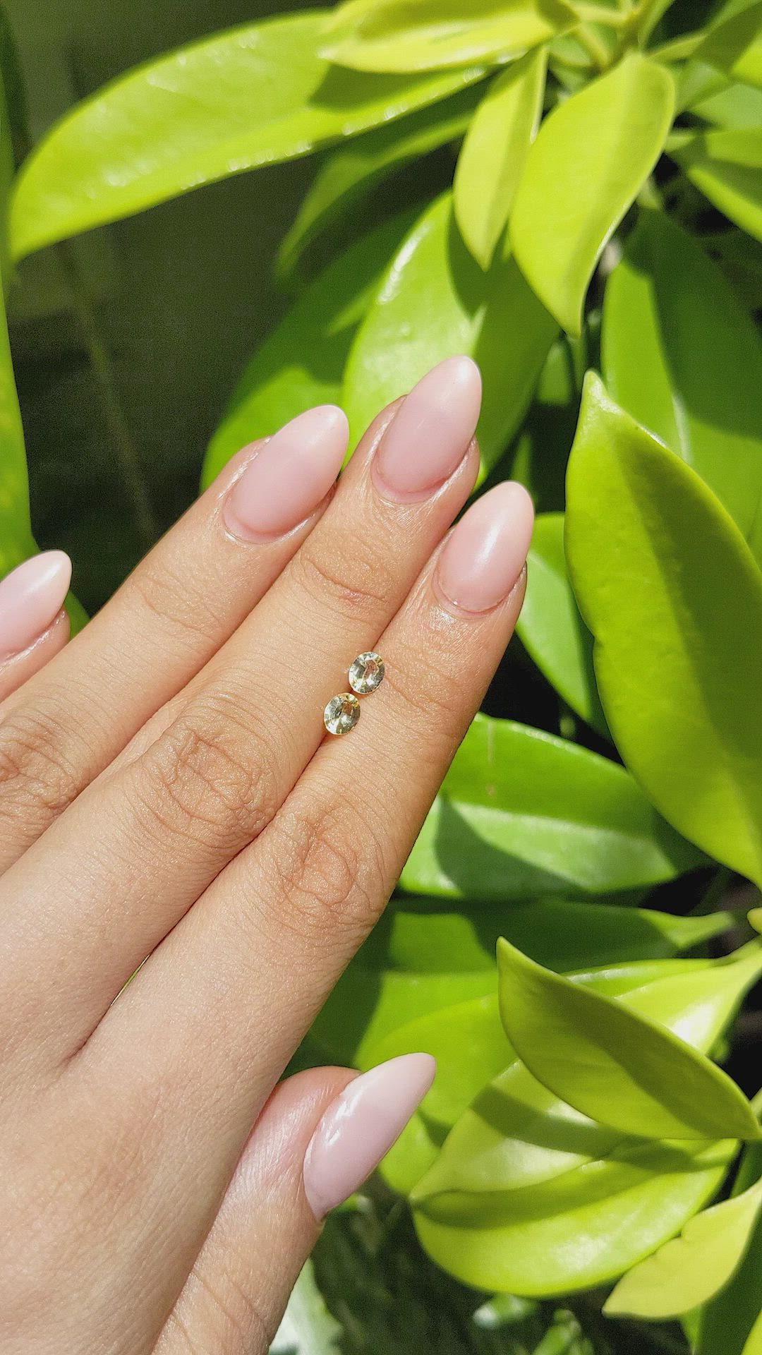 0.71&nbsp;Ct.Tw.Total Carat Weight Yellow Sapphire Pair from Ceylon (Sri Lanka) Size Video