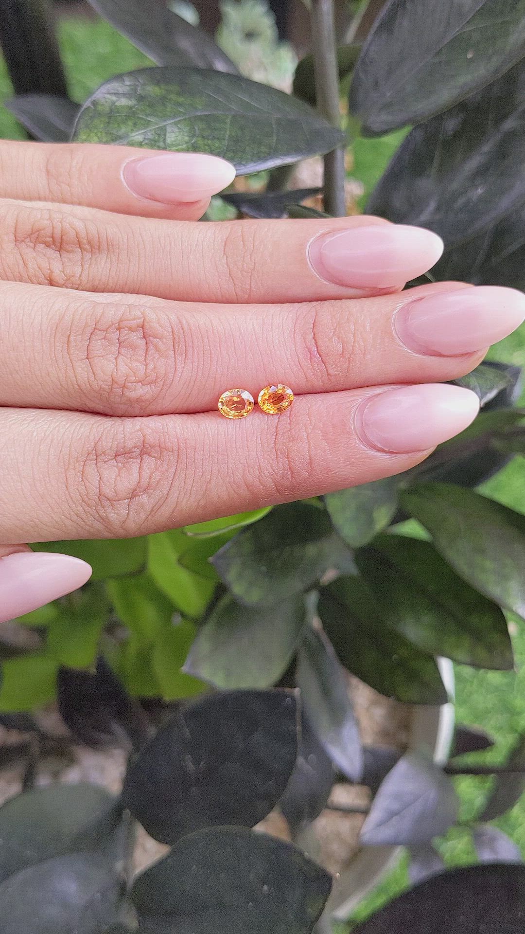 0.95 Ct.Tw.Total Carat Weight Yellowish Orange Sapphire Pair from Ceylon (Sri Lanka) Size Video