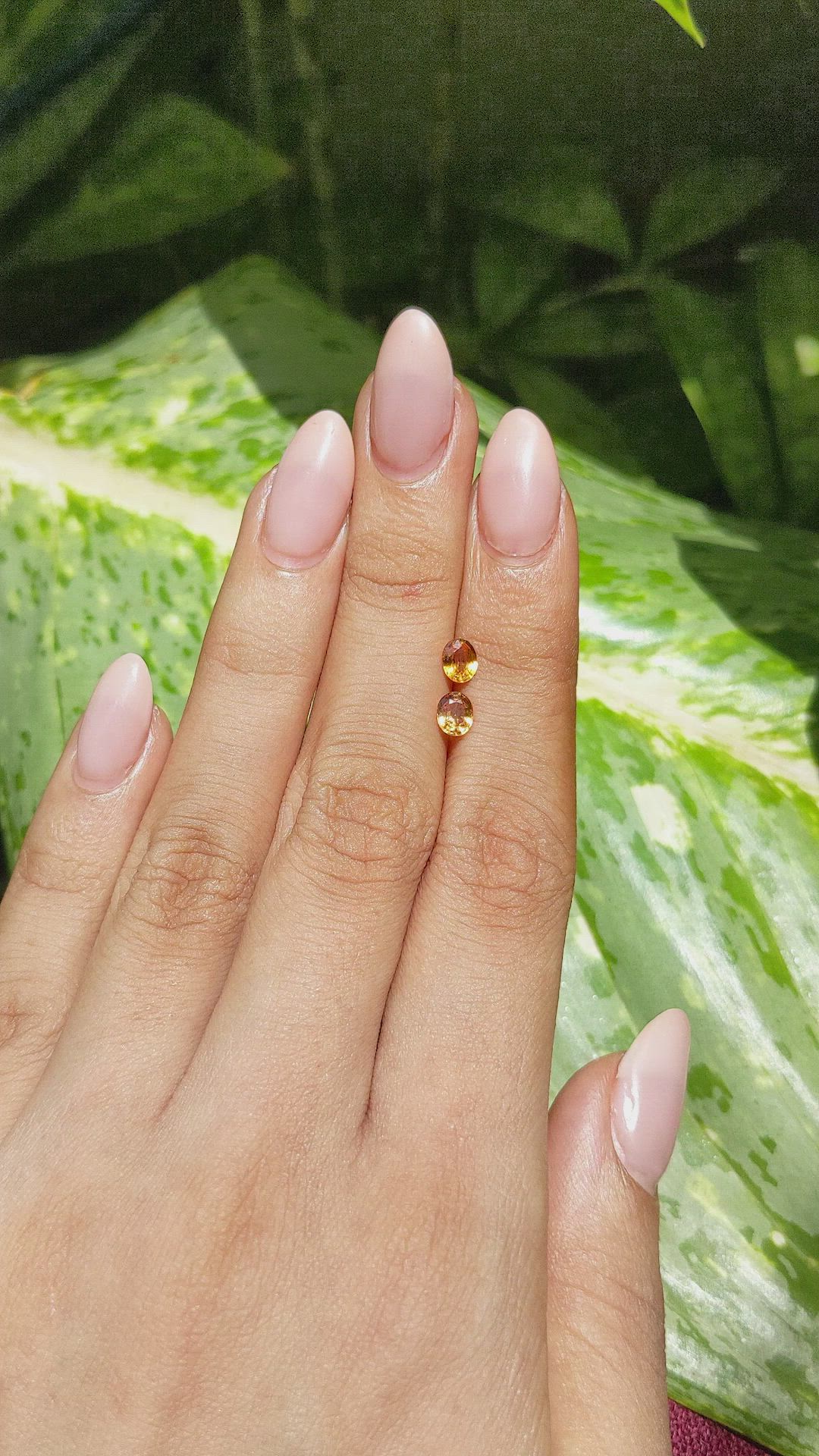 0.95 Ct.Tw.Total Carat Weight Yellowish Orange Sapphire Pair from Ceylon (Sri Lanka) Size Video