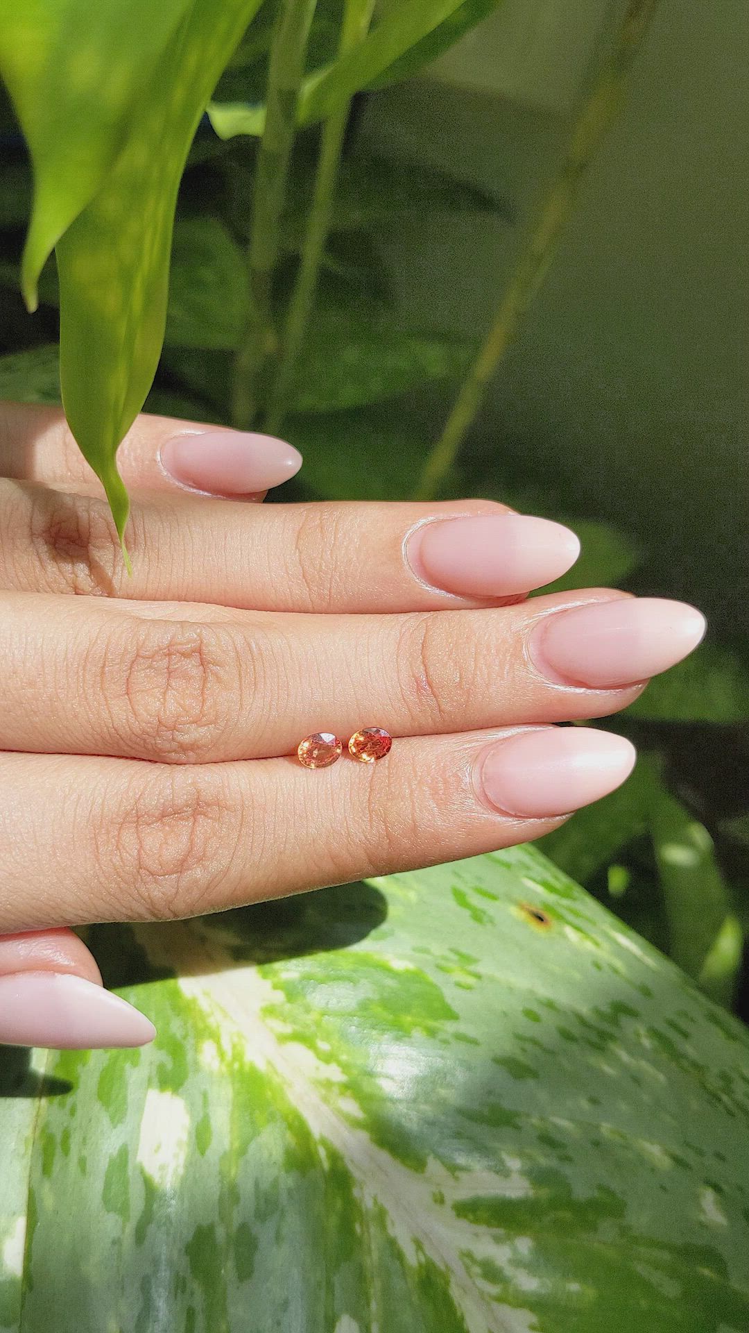 0.81 Ct.Tw.Total Carat Weight Yellowish Orange Sapphire Pair from Ceylon (Sri Lanka) Size Video