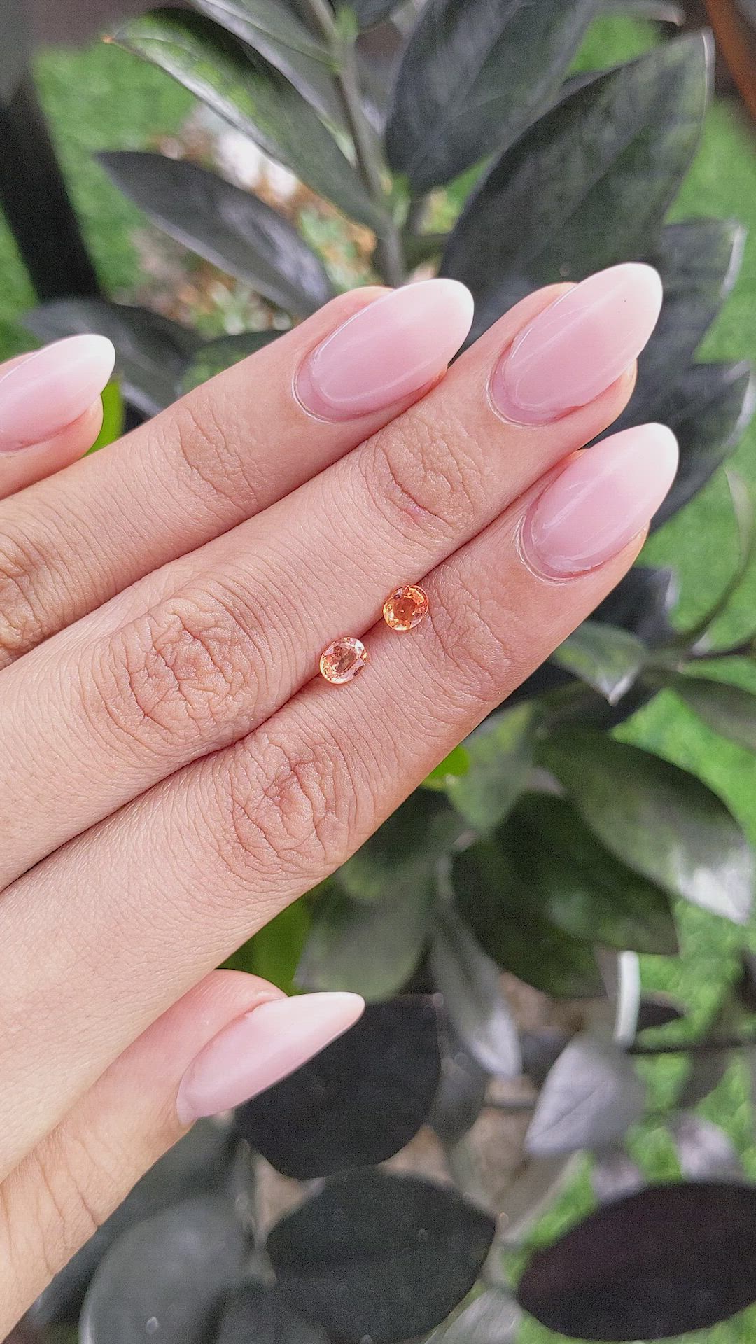 0.81 Ct.Tw.Total Carat Weight Yellowish Orange Sapphire Pair from Ceylon (Sri Lanka) Size Video