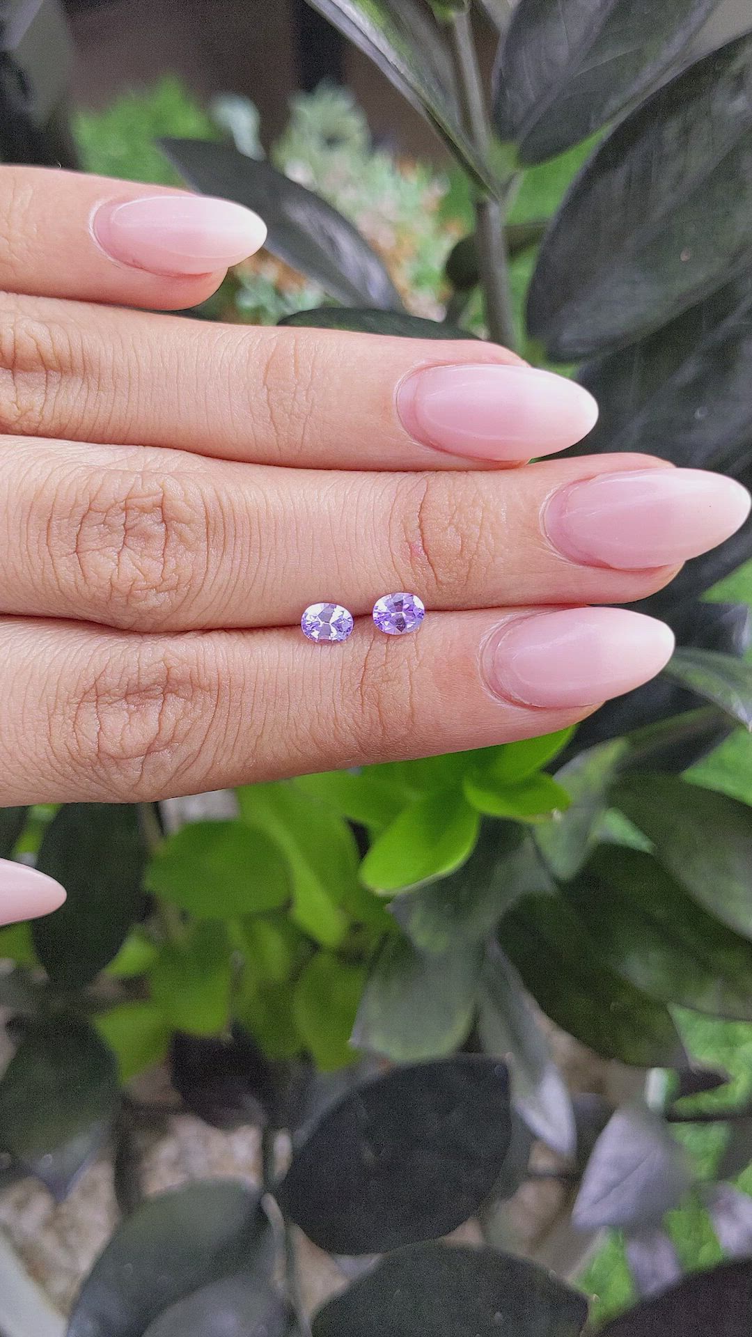 0.88&nbsp;Ct.Tw.Total Carat Weight Purple Sapphire Pair from Ceylon (Sri Lanka) Size Video