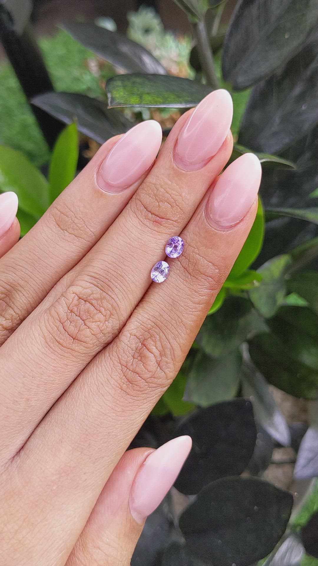 0.88&nbsp;Ct.Tw.Total Carat Weight Purple Sapphire Pair from Ceylon (Sri Lanka) Size Video