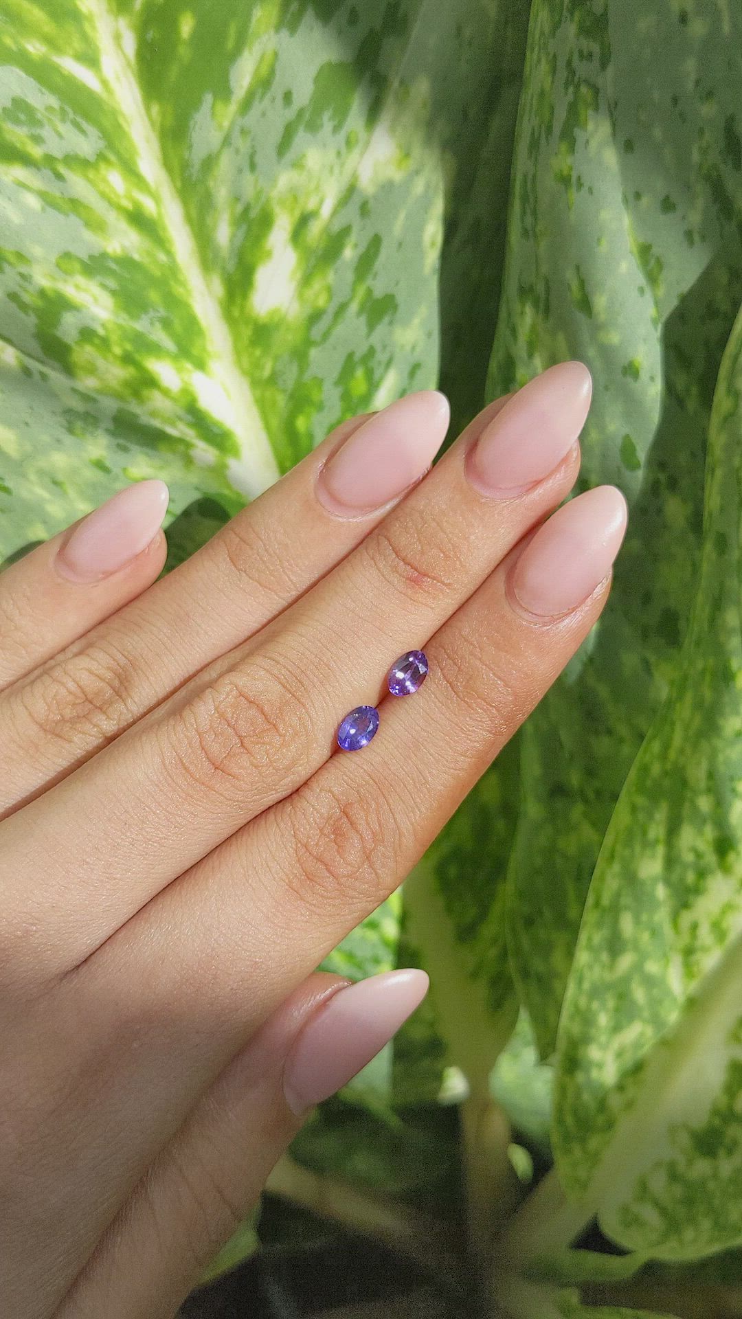 1.05 Ct.Tw.Total Carat Weight Purple Sapphire Pair from Ceylon (Sri Lanka) Size Video