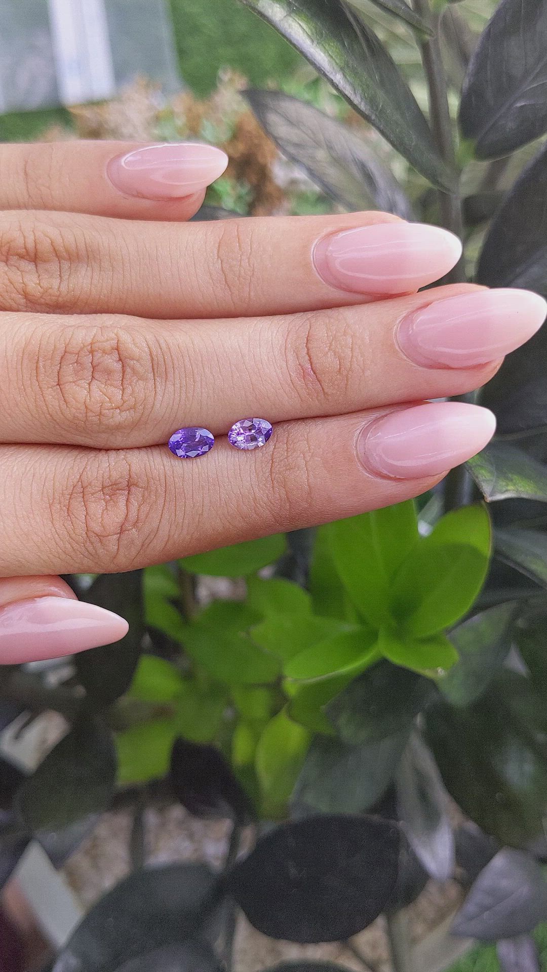 1.05 Ct.Tw.Total Carat Weight Purple Sapphire Pair from Ceylon (Sri Lanka) Size Video