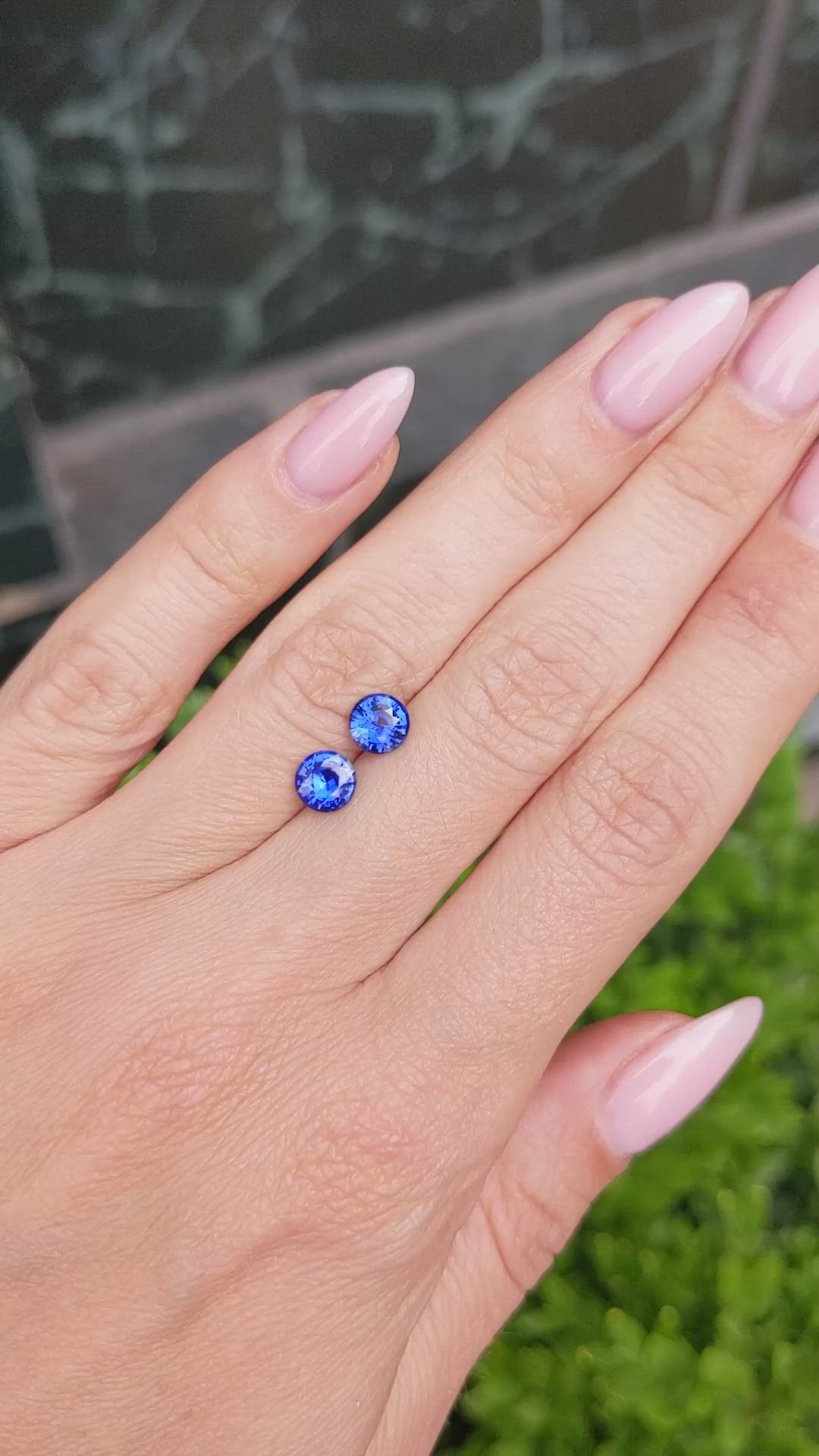 1.76&nbsp;Ct.Tw.Total Carat Weight Blue Sapphire Pair from Ceylon (Sri Lanka) Size Video