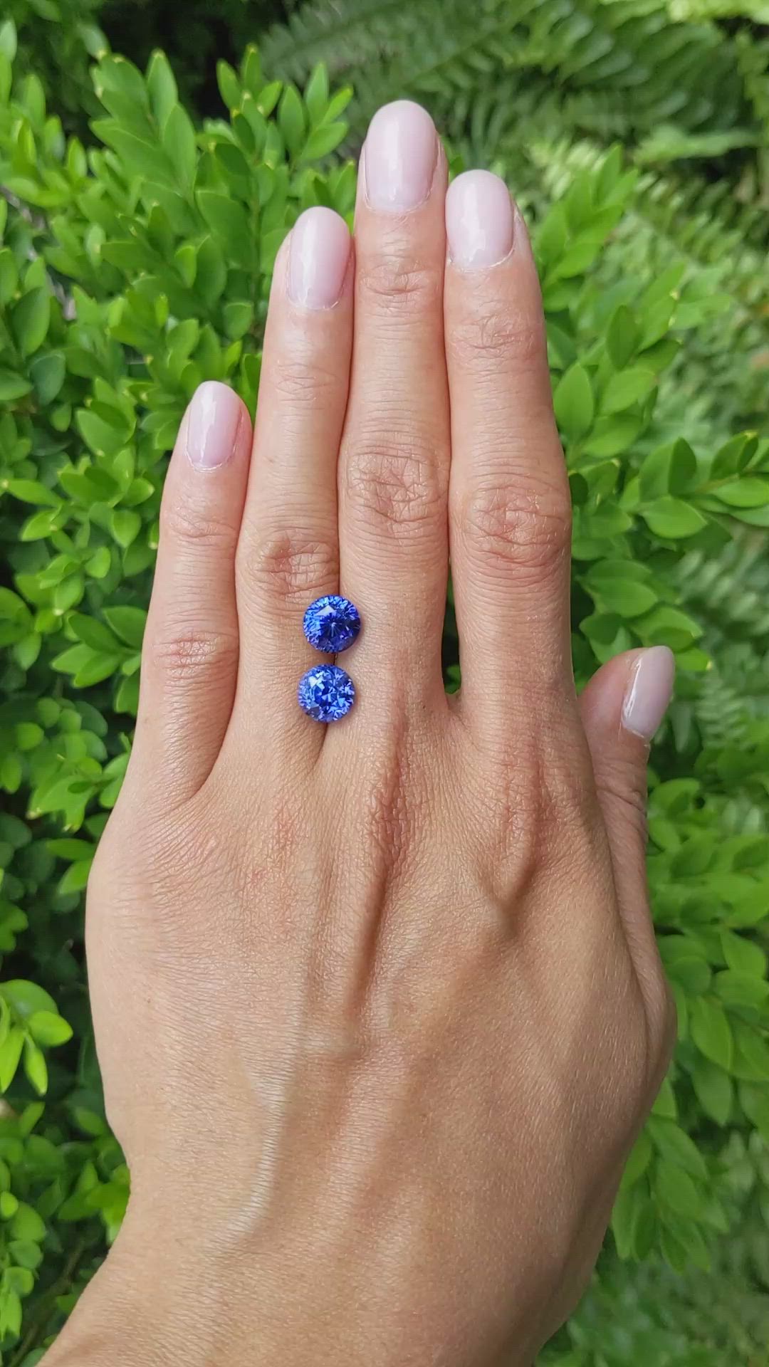 8.24 Ct.Tw.Total Carat Weight Blue Sapphire Pair from Ceylon (Sri Lanka) Size Video
