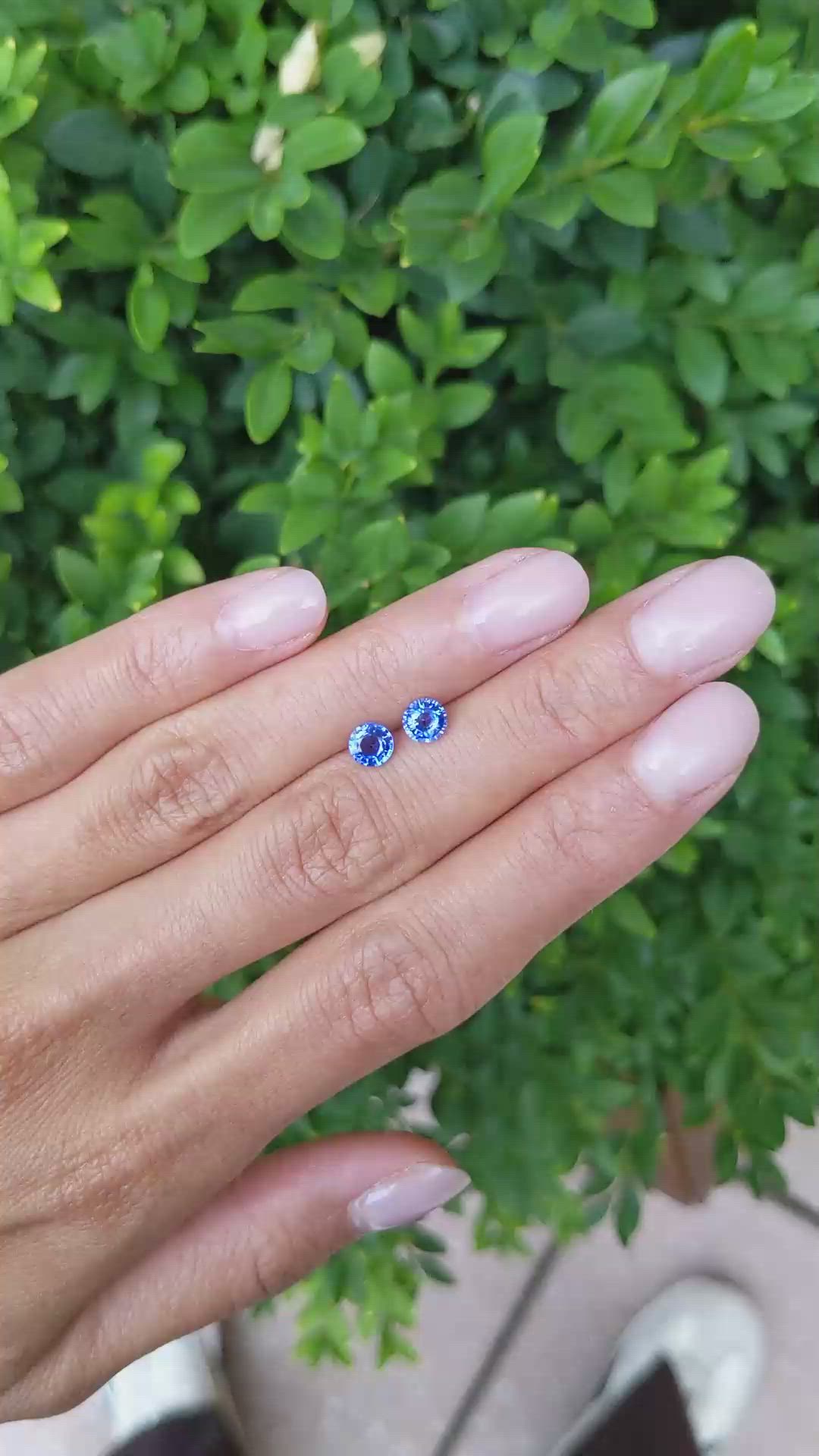 1.09&nbsp;Ct.Tw.Total Carat Weight Blue Sapphire Pair from Ceylon (Sri Lanka) Size Video